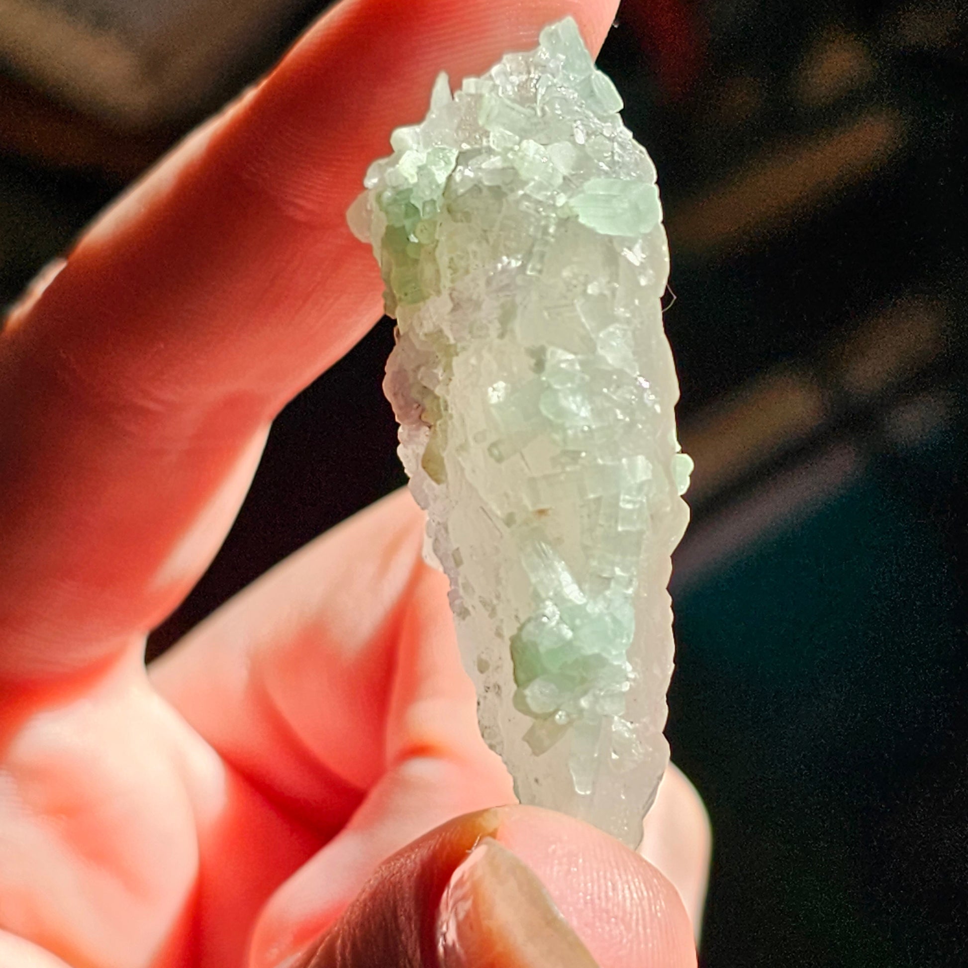 Frosted Elestial Quartz, Seafoam Baby Blue Tourmaline, Lepidolite Crystals | Tabular Elestial Crystal Combo, Laghman Mine, Rare, Collector