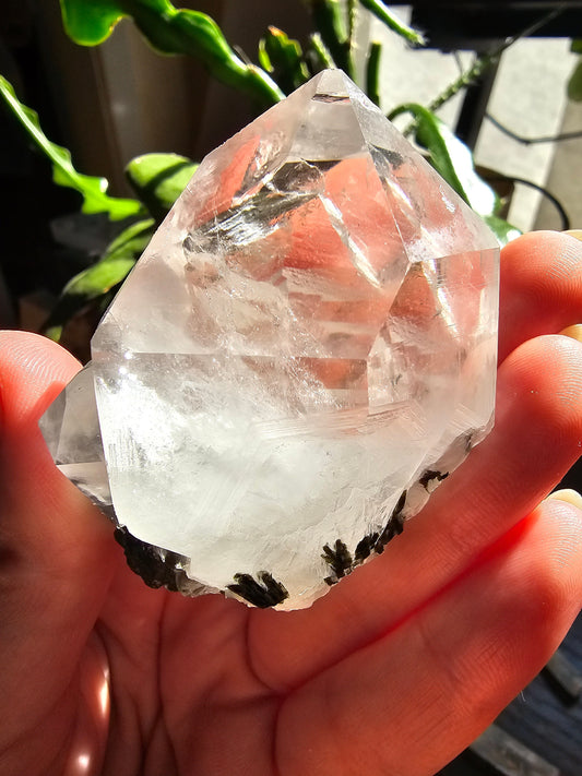 102g Clear Quartz and Epidote, Raw Rare Crystal Combo, Glassy, Terminated Specimen with Twins, Sidecar Crystal, Forest Green and White Clear