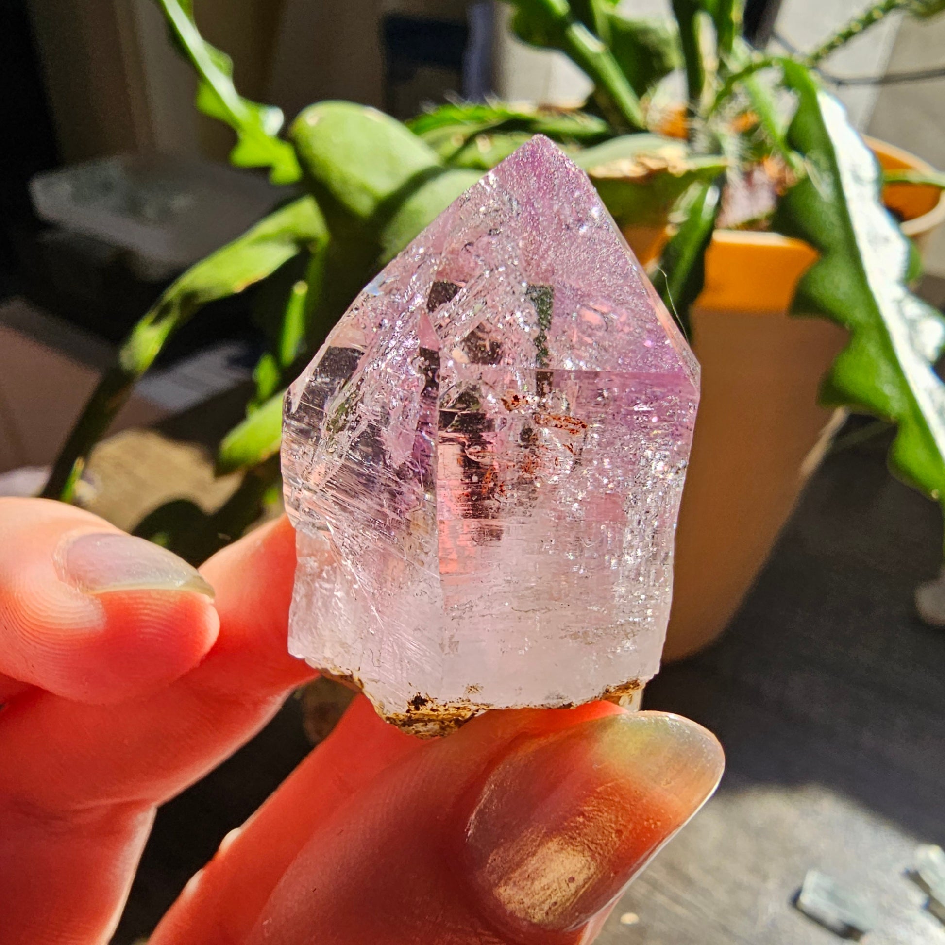 Large Vera Cruz Amethyst AAA Crystal, Rare Raw Natural Stone from Mexico | 32g Terminated High Grade Collector Specimen, February Gift