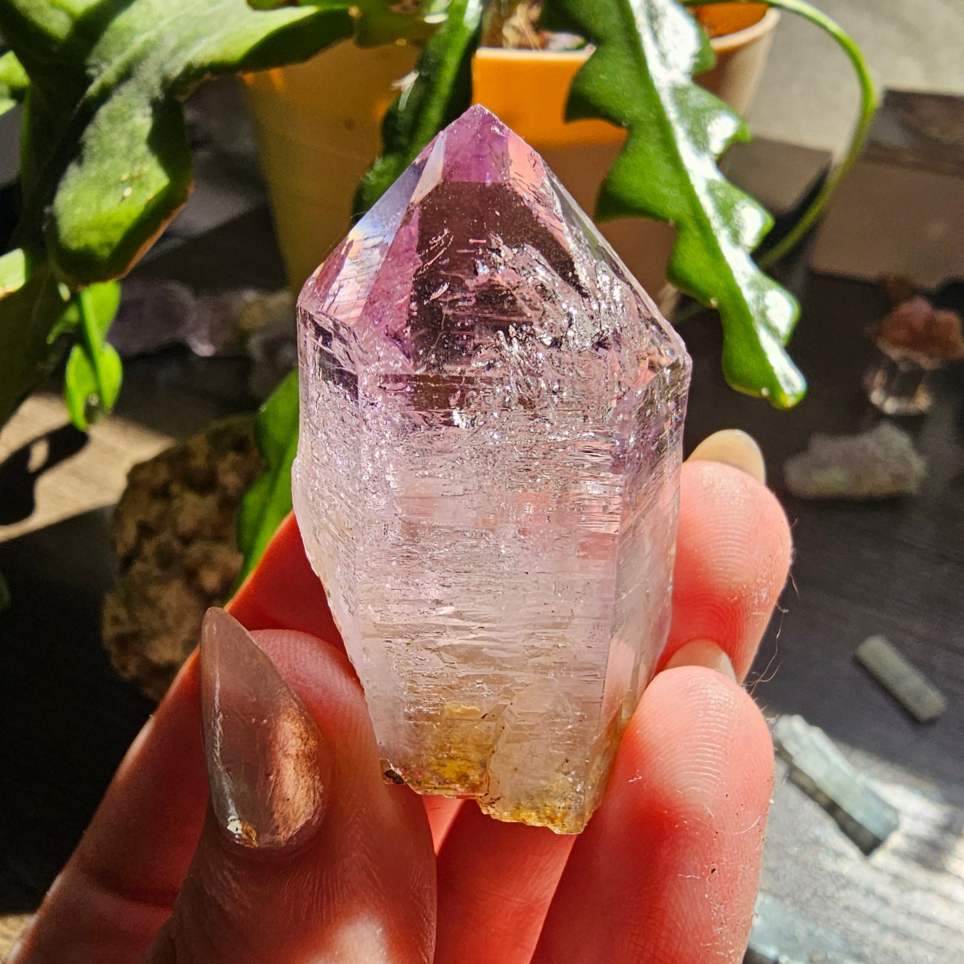 Large Vera Cruz Amethyst AAA Crystal, Rare Raw Natural Stone from Mexico | 32g Terminated High Grade Collector Specimen, February Gift