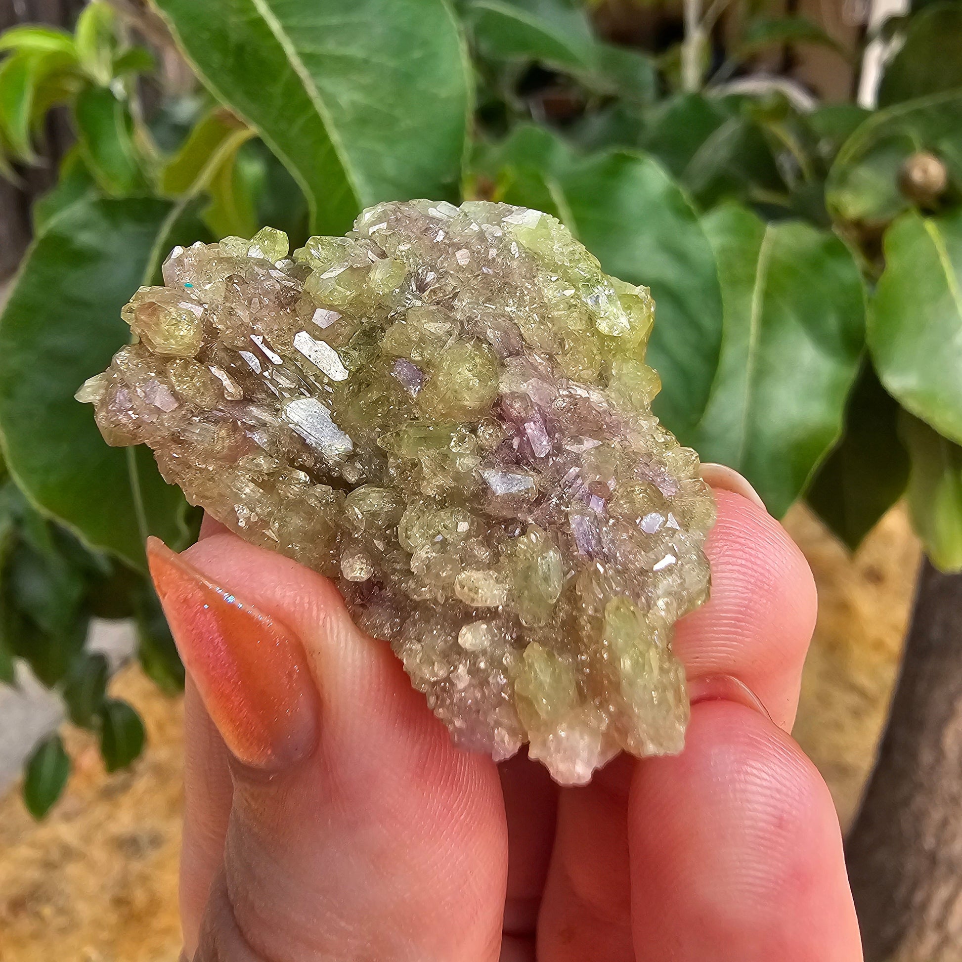 20g Vesuvianite Cluster, Raw Rare Jeffrey Mine, One of a Kind, Canadian Crystal, Vesuvianite Cluster, Green and Purple Rare Collector Gem