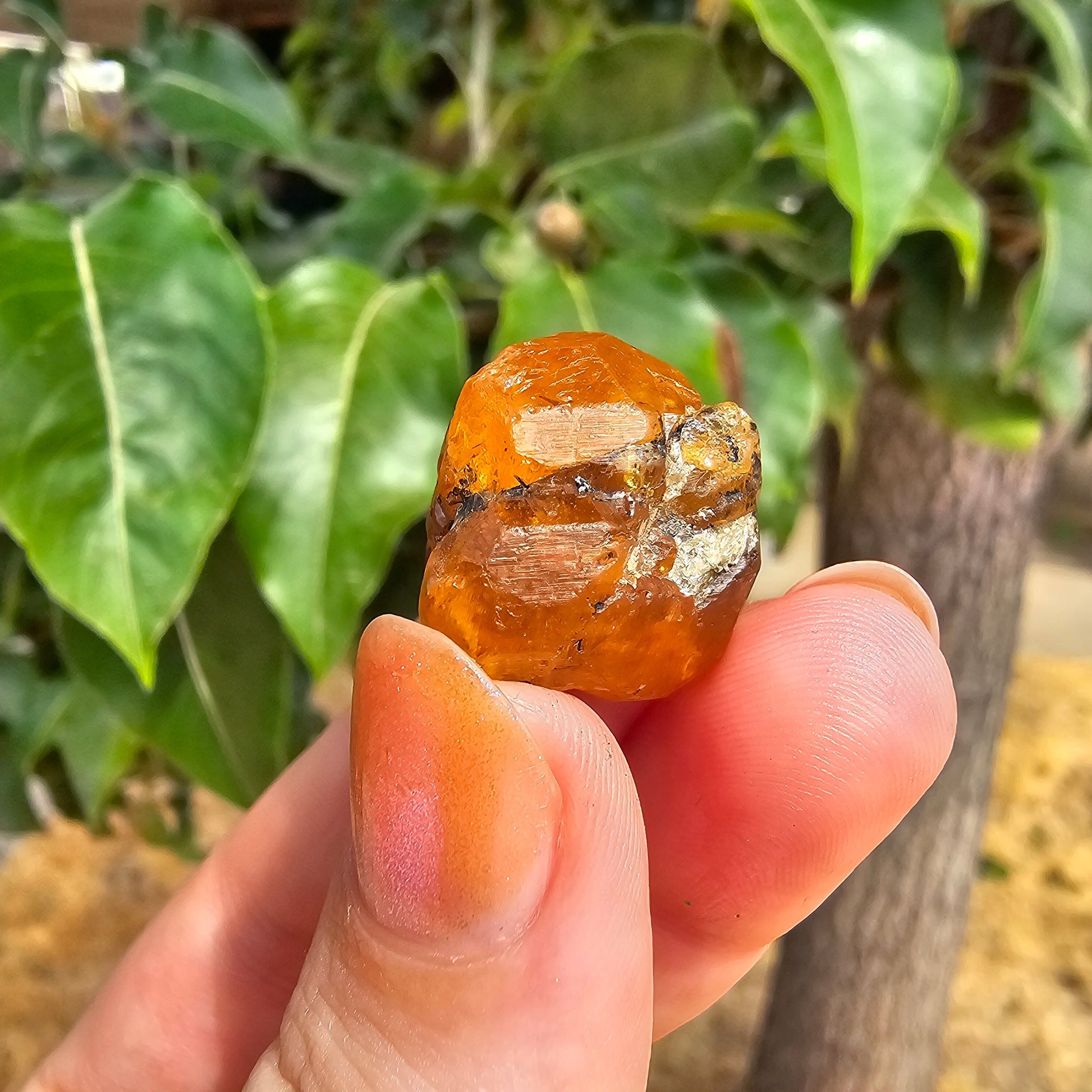 10g Spessartine, Cute Lolindo Tanzania, Bright Orange Garnet, Rough Spessartite, January Birthstone, Rare Etched Garnet, Collector Crystal
