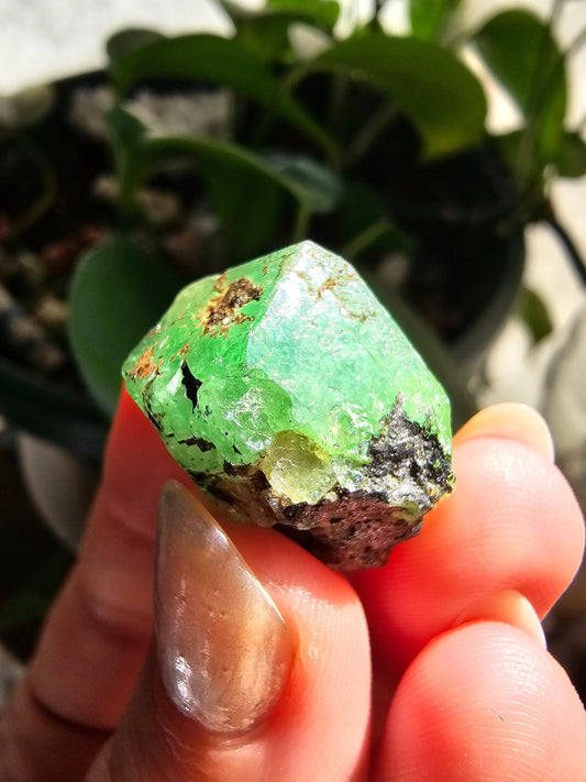 Large 45ct Tsavorite Garnet, 9g Green Grossular Rare Crystal, Merelani Hills Tanzania Origin, Terminated Raw Rough Natural Gem Specimen