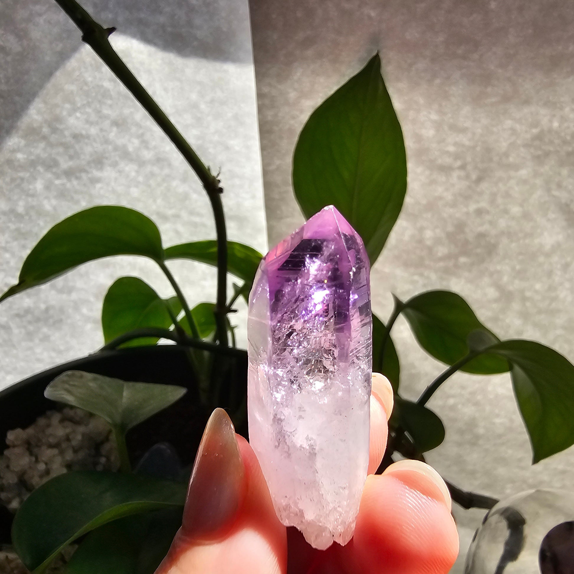 AAA Vera Cruz Amethyst Crystal, Rare Raw High Grade Phantom Specimen, from Mexico | 13.1g Terminated Saturated Piece, February Gift