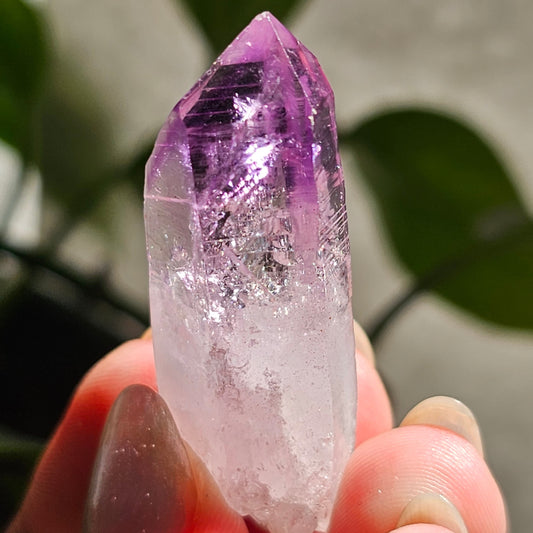 AAA Vera Cruz Amethyst Crystal, Rare Raw High Grade Phantom Specimen, from Mexico | 13.1g Terminated Saturated Piece, February Gift