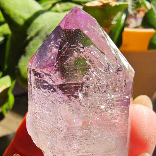 Large Vera Cruz Amethyst AAA Crystal, Rare Raw Natural Stone from Mexico | 32g Terminated High Grade Collector Specimen, February Gift