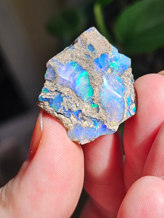 Raw Opal Crystal, Welo Ethiopia, Rough Rainbow Gem, 29ct, Opal Rough, with Matrix, Collector Specimen, Rainbow Flash, Blue Opal Gemstone