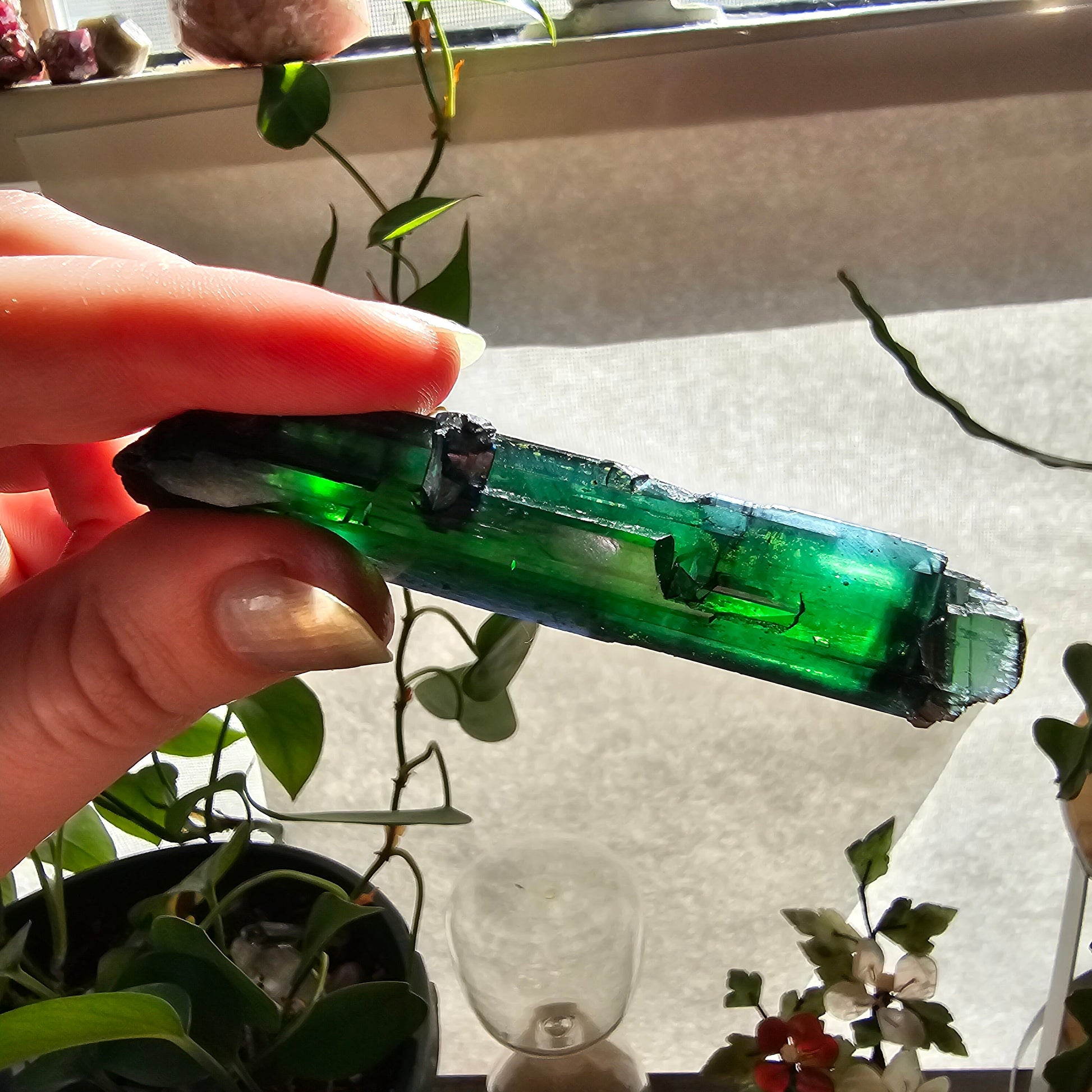 Vivianite Crystal, High Grade, Stunning Raw Gem, AAA Form and Color, Rare Rough Collector Crystal from Brazil, AAA Vivianite