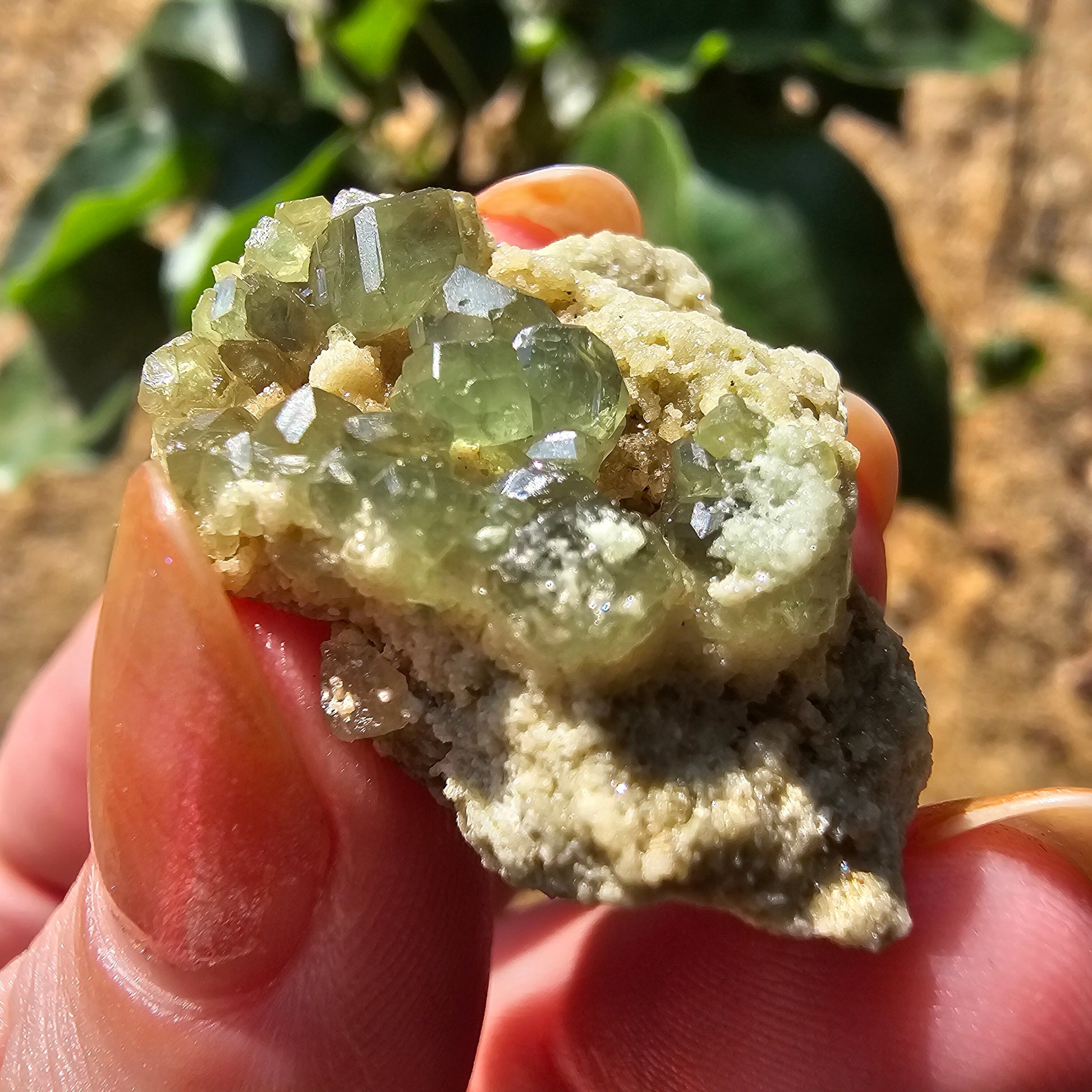 Demantoid Garnets on Matrix (Madagascar Andradite) <100