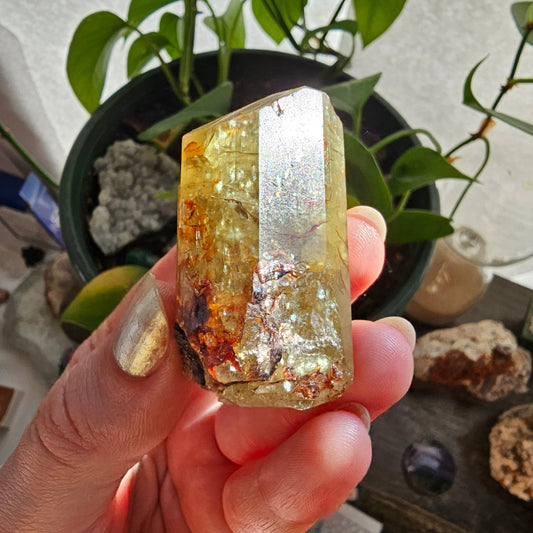 71g Golden Apatite from Durange Mexico, Raw XL Crystal, Yellow Apatite with Hematite, Lustrous Terminated and Twinned, Rough Rare Gemstone