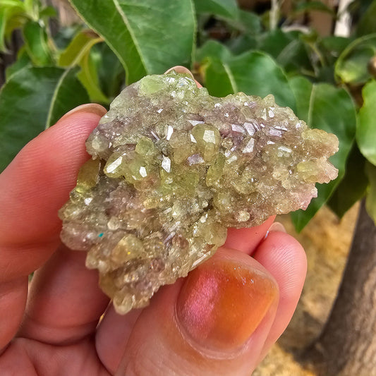 20g Vesuvianite Cluster, Raw Rare Jeffrey Mine, One of a Kind, Canadian Crystal, Vesuvianite Cluster, Green and Purple Rare Collector Gem