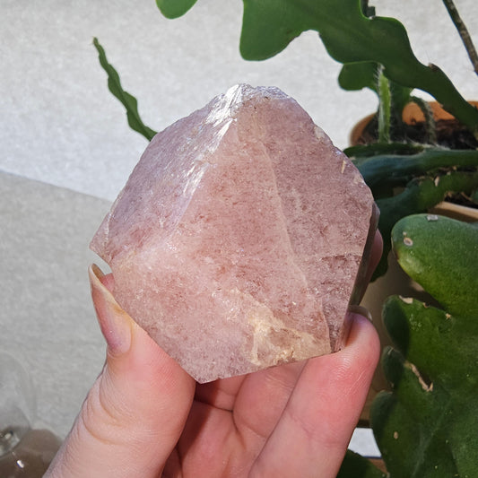 RESERVED for Michelle 158g Pink Garnet, XL Grossular Garnet, Bicolor, Rare Rough Stone, Collector Gem, Sierra de Cruces Mexico, Old Stock