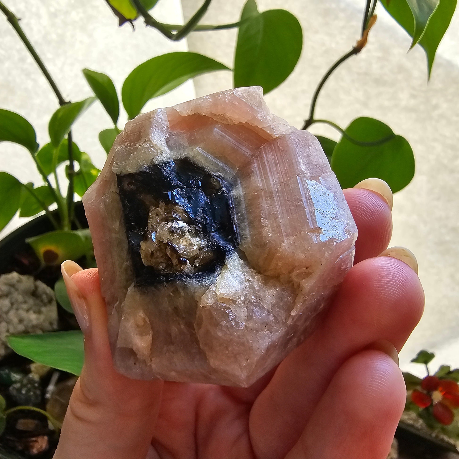 RESERVED for Michelle 158g Pink Garnet, XL Grossular Garnet, Bicolor, Rare Rough Stone, Collector Gem, Sierra de Cruces Mexico, Old Stock