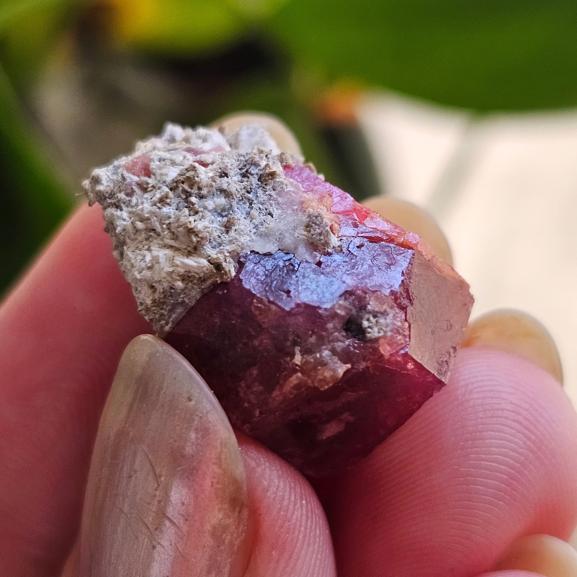 Raspberry Garnet on Matrix, Rare Raw Old Stock Mineral Specimen, Sierra de las Cruces Mexico, Local High End Rosalite, Deep Lustrous & Gemmy
