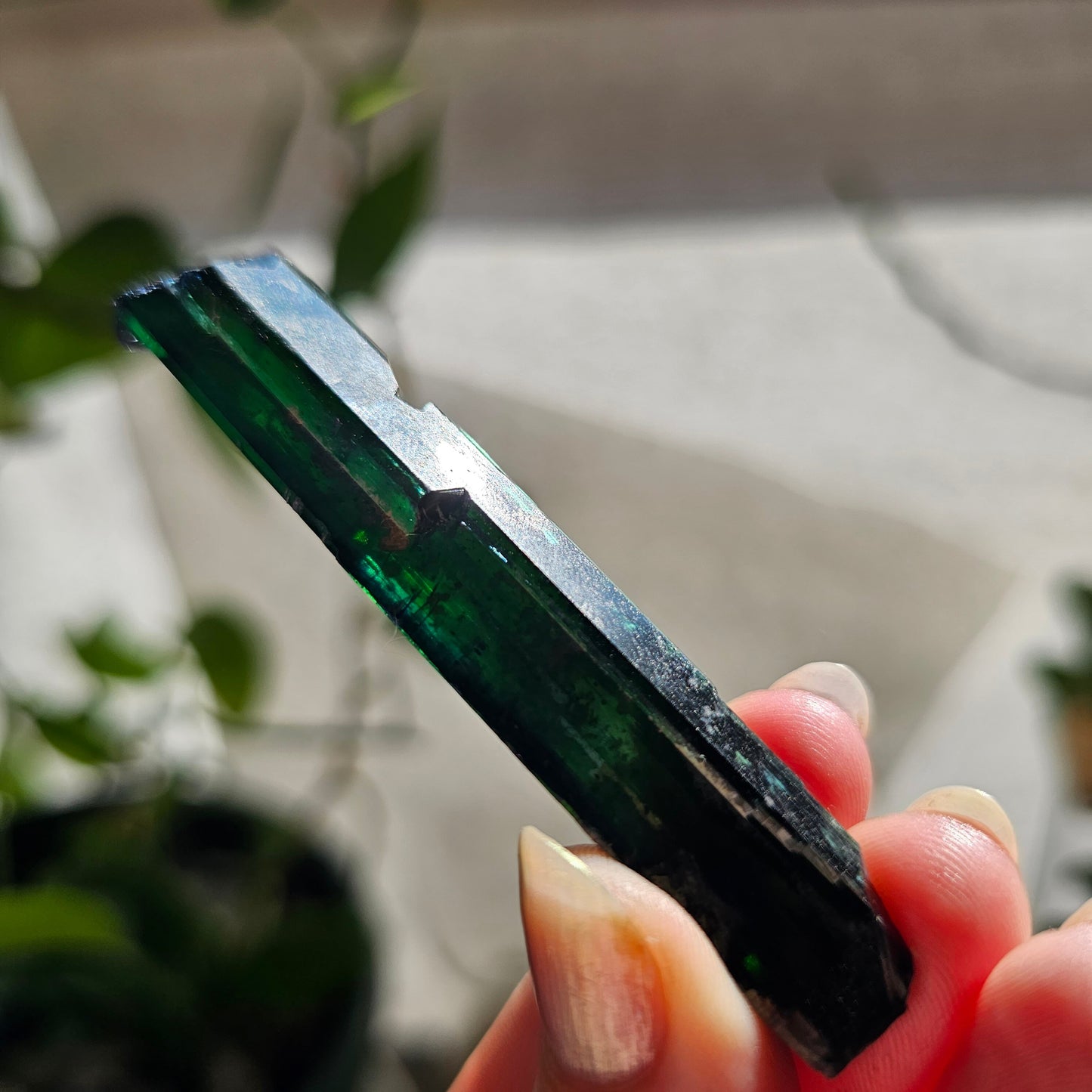 Vivianite Crystal, High Grade, Stunning Raw Gem, AAA Form and Color, Rare Rough Collector Crystal from Brazil, AAA Vivianite