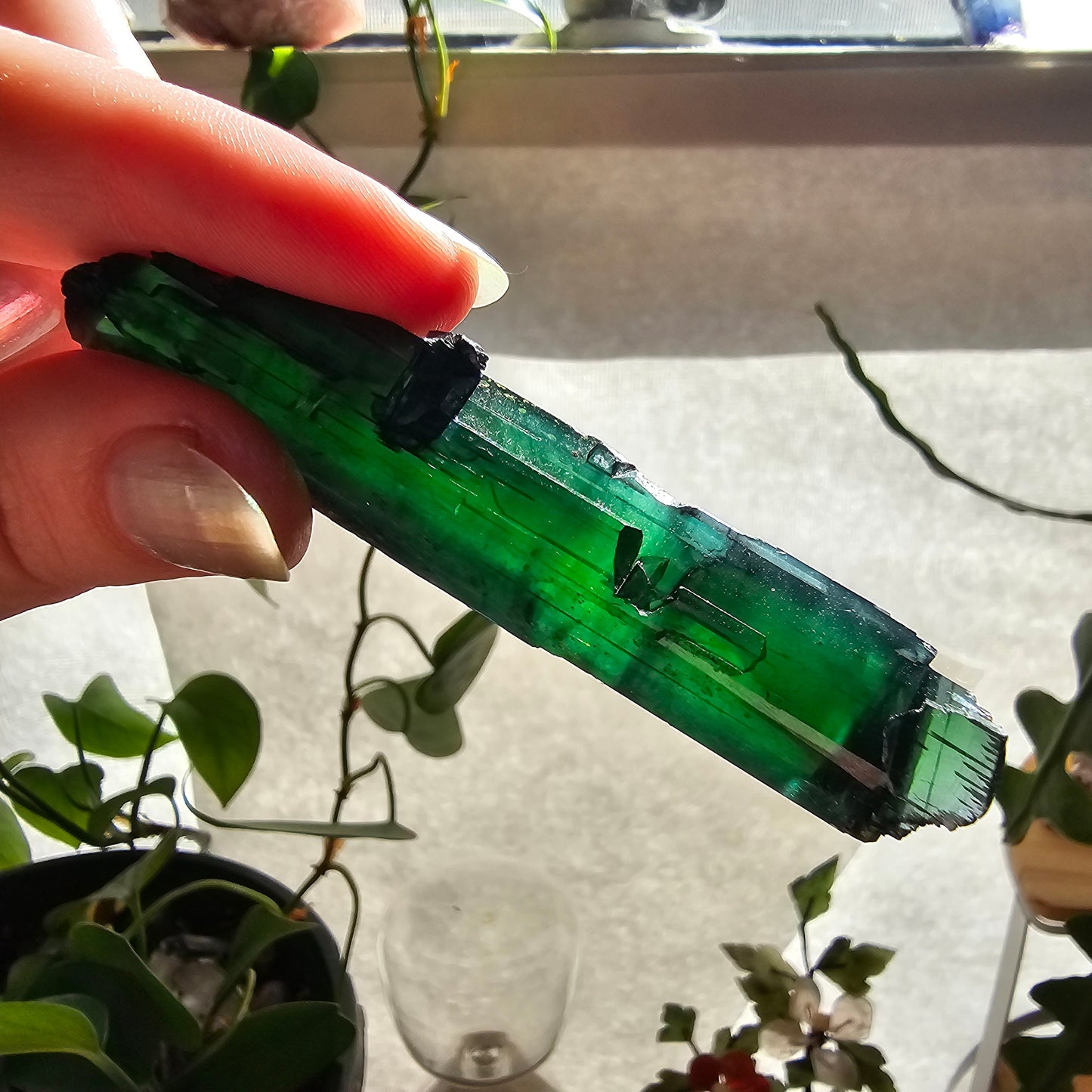 Vivianite Crystal, High Grade, Stunning Raw Gem, AAA Form and Color, Rare Rough Collector Crystal from Brazil, AAA Vivianite