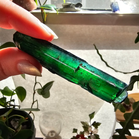 Vivianite Crystal, High Grade, Stunning Raw Gem, AAA Form and Color, Rare Rough Collector Crystal from Brazil, AAA Vivianite