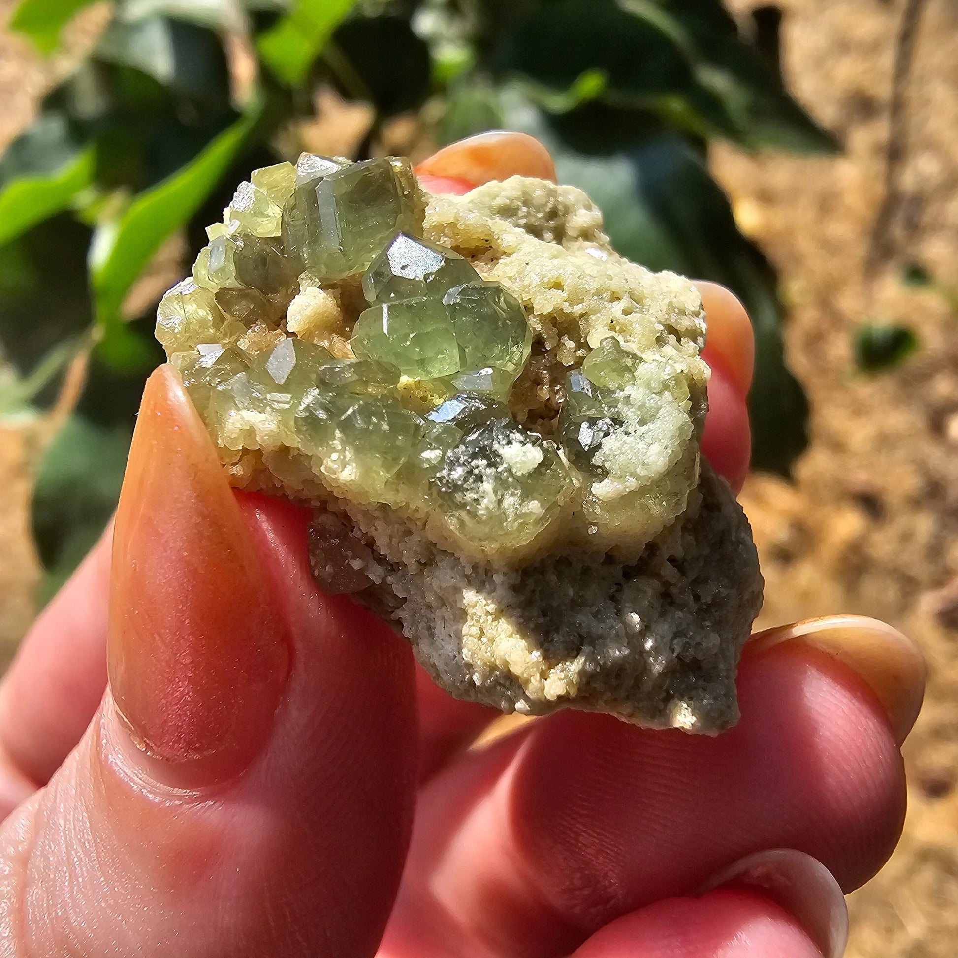 Demantoid Garnets on Matrix (Madagascar Andradite) <100