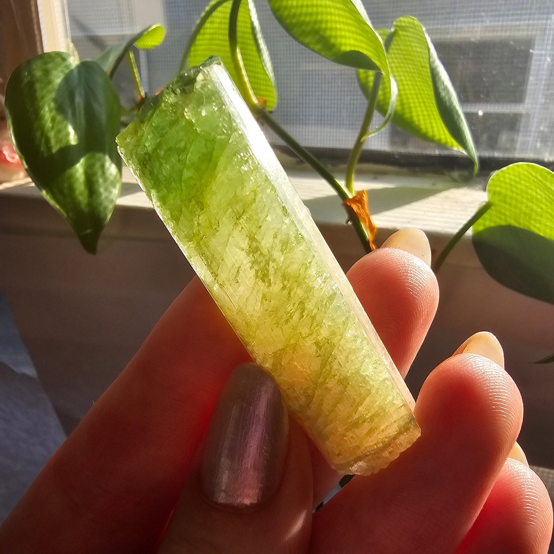 Green Tourmaline, 18g Large Specimen Grade, Apple Green, Yellow and Pink Elbaite, Tabular Tabby Crystal, Cruziero Brazil, Collector Gem