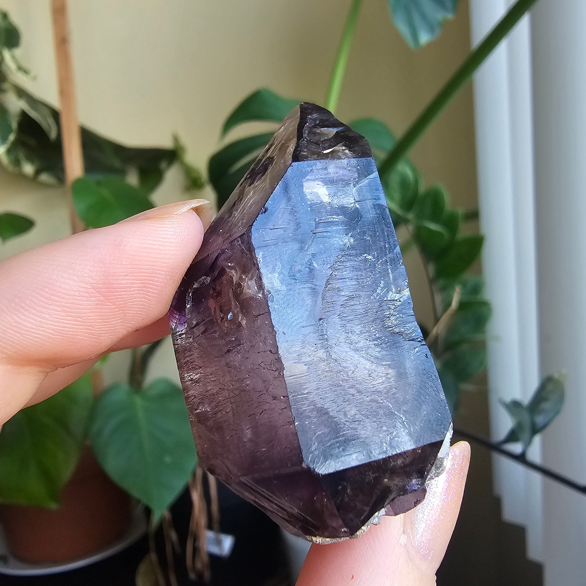 Shangaan Amethyst, New Find, Rare Raw Crystal, Saturated Purple, Phantom Quartz, Smokey Amethyst Scepter, Hematite Inclusions, 62g