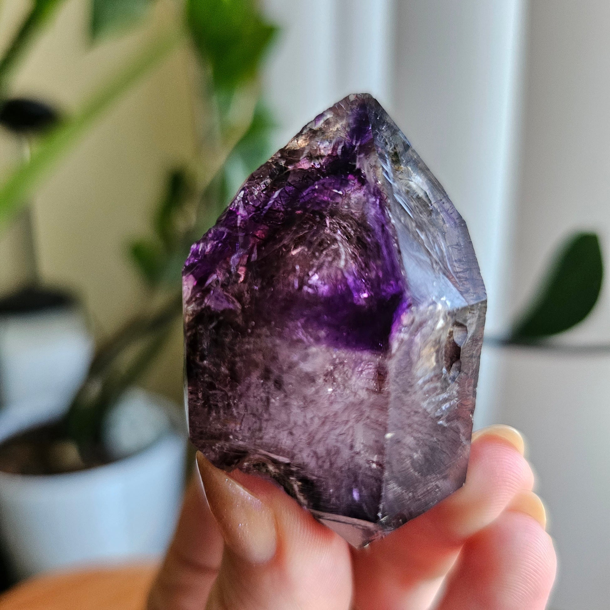 Shangaan Amethyst, New Find, Rare Raw Crystal, Saturated Purple, Phantom Quartz, Smokey Amethyst Scepter, Hematite Inclusions, 62g