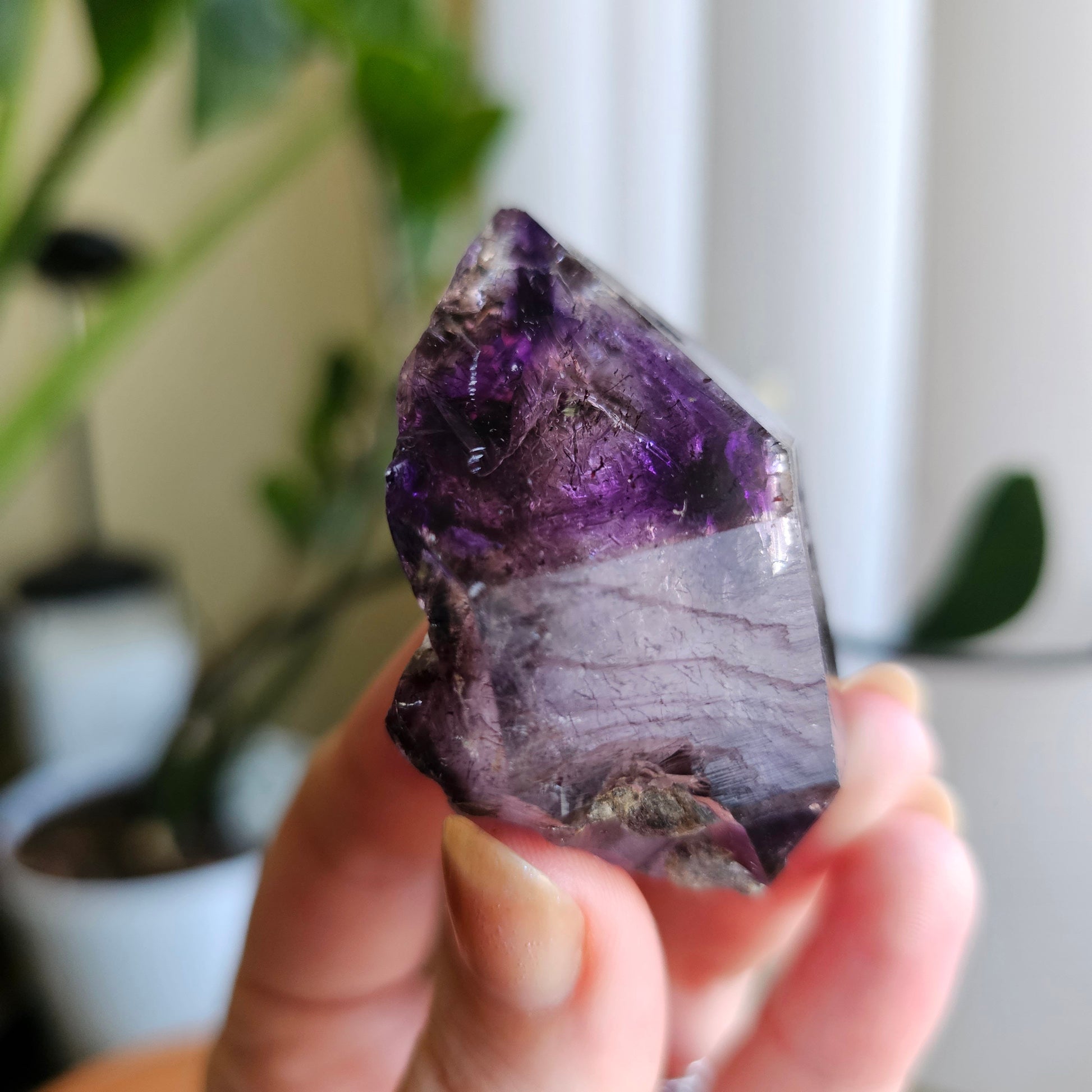Shangaan Amethyst, New Find, Rare Raw Crystal, Saturated Purple, Phantom Quartz, Smokey Amethyst Scepter, Hematite Inclusions, 62g