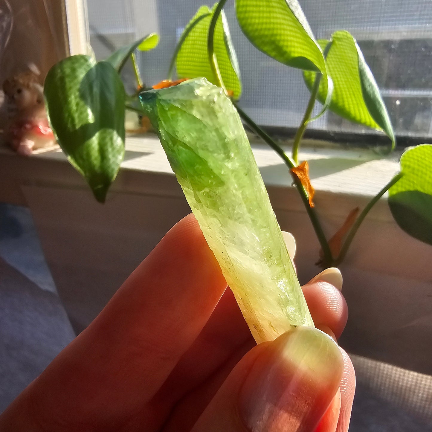 Green Tourmaline, 18g Large Specimen Grade, Apple Green, Yellow and Pink Elbaite, Tabular Tabby Crystal, Cruziero Brazil, Collector Gem