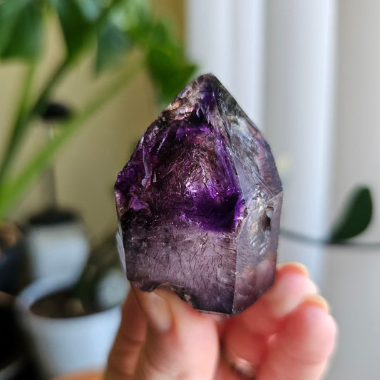Shangaan Amethyst, New Find, Rare Raw Crystal, Saturated Purple, Phantom Quartz, Smokey Amethyst Scepter, Hematite Inclusions, 62g