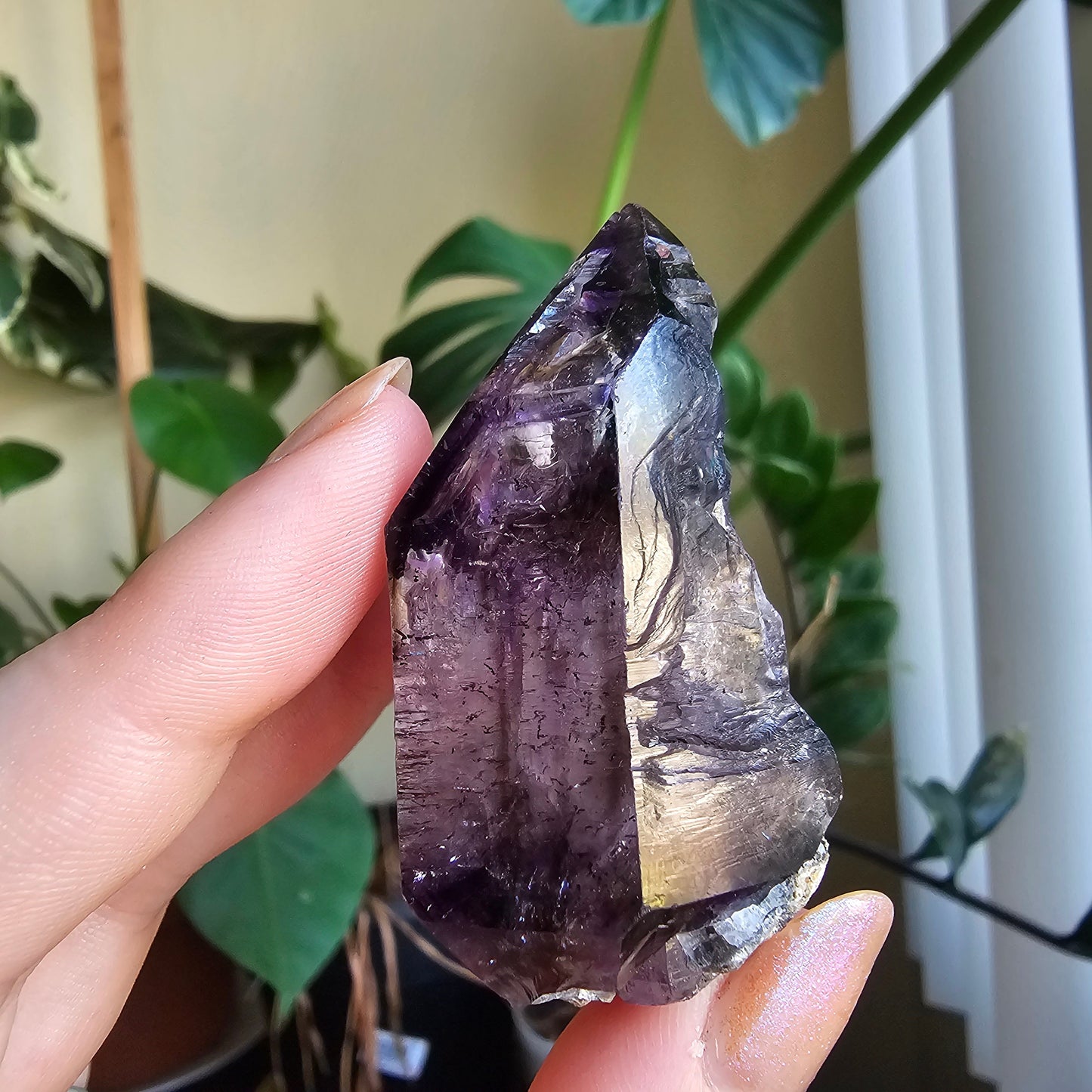 Shangaan Amethyst, New Find, Rare Raw Crystal, Saturated Purple, Phantom Quartz, Smokey Amethyst Scepter, Hematite Inclusions, 62g