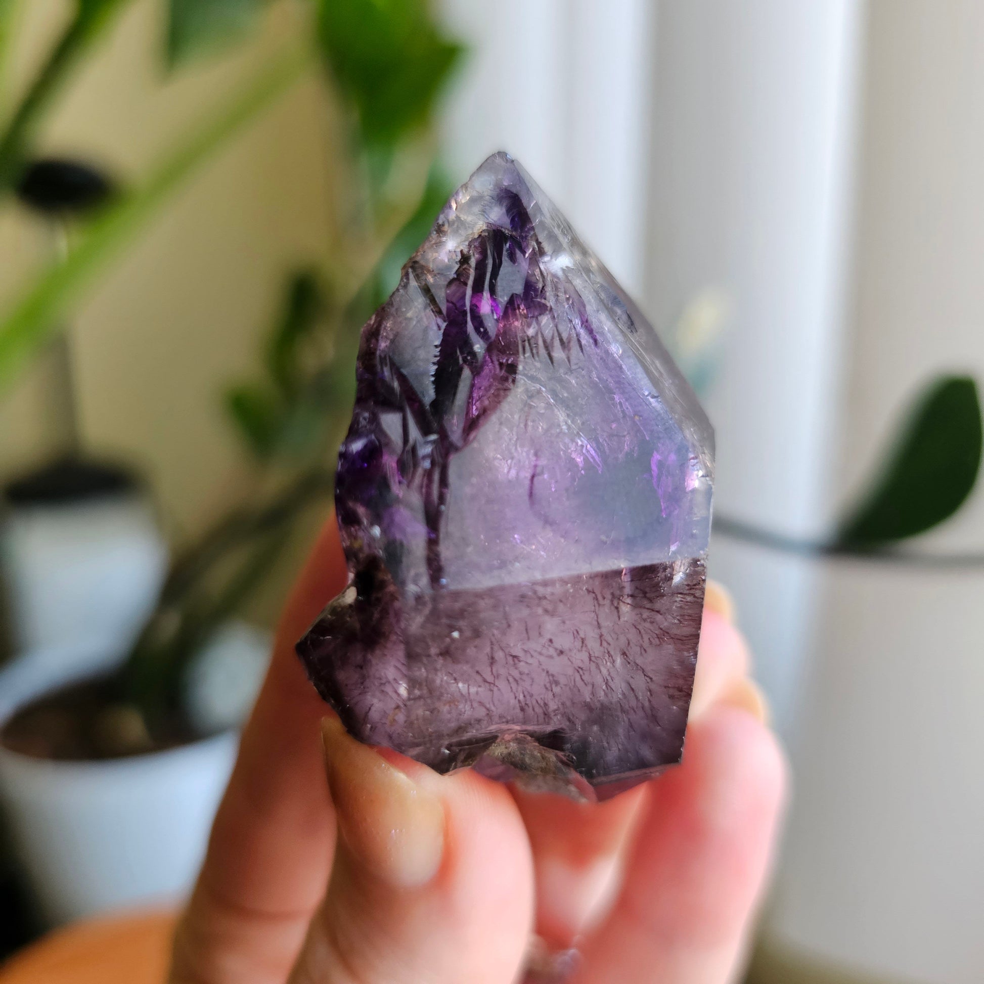 Shangaan Amethyst, New Find, Rare Raw Crystal, Saturated Purple, Phantom Quartz, Smokey Amethyst Scepter, Hematite Inclusions, 62g