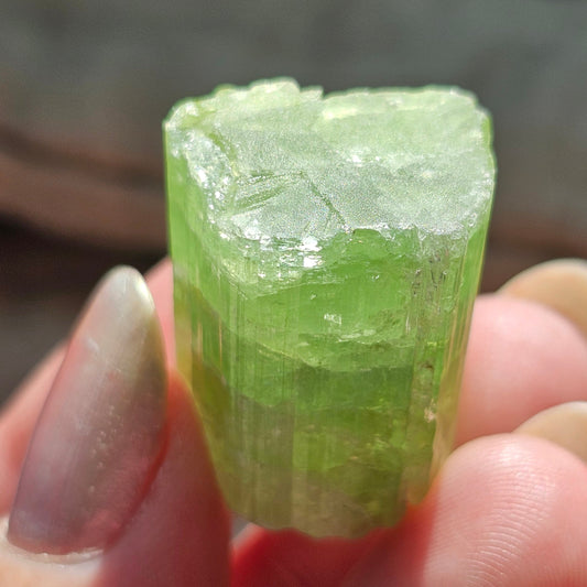Tourmaline from the Cruziero Mine Brazil, Green Verdellite with Indicolite Navy Blue Termination, 14.3g Rough Raw Elbaite Crystal
