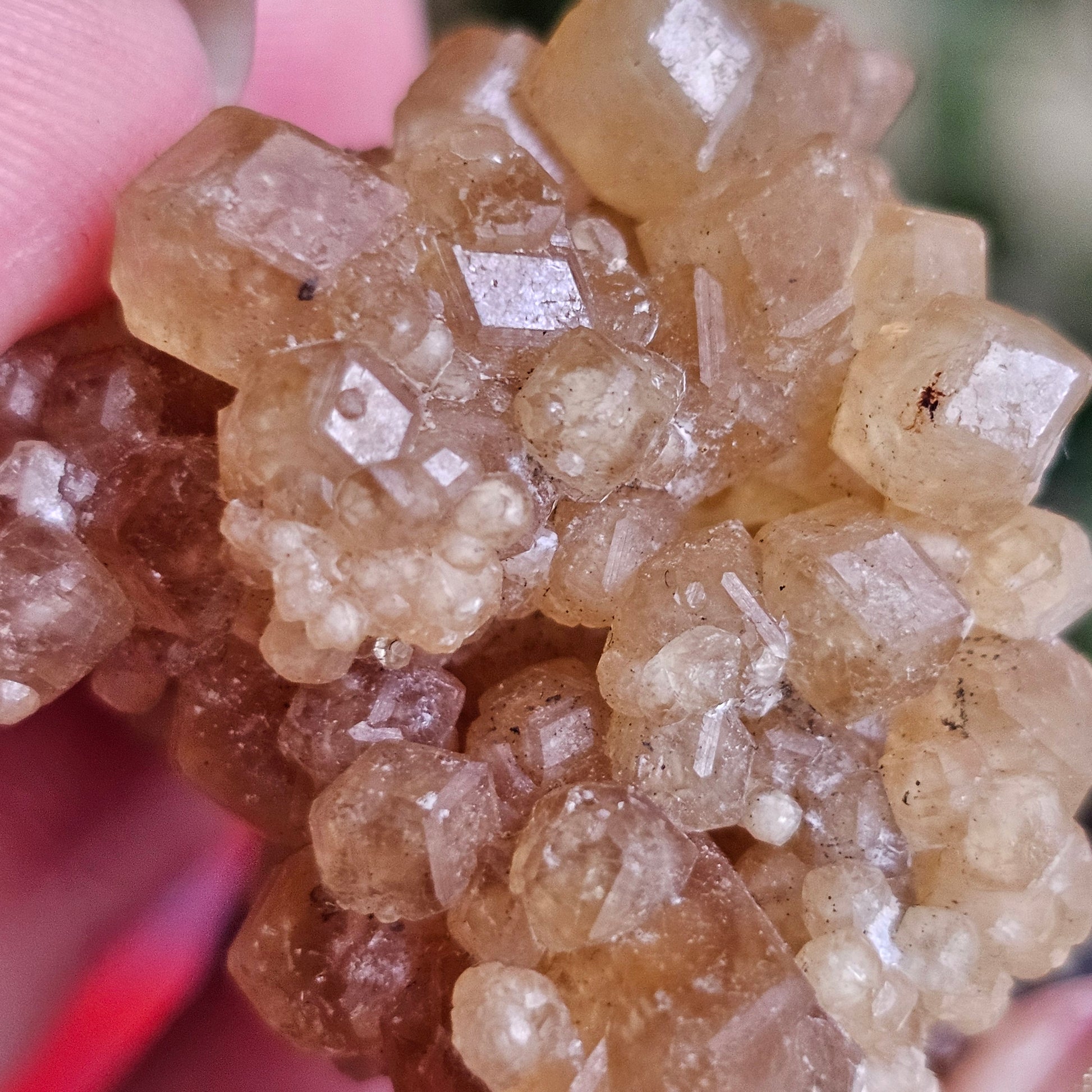 Rare Golden Yellow Spessartine Garnet, 35.4g Floater Crystal Cluster, Rare Raw Natural Gemstone Specimen for Collection, Tanzania Origin
