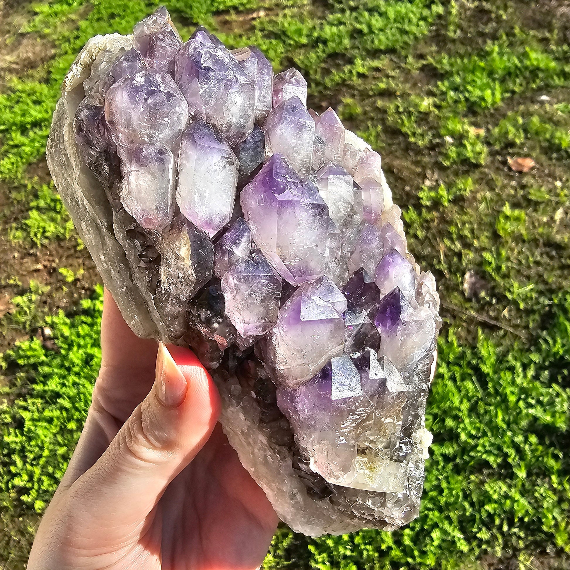 XL Montana Smoky Amethyst, Rare Elestial Quartz, USA Crystals, On Matrix, Cabinet Sized, Little Gem Mine Stunning Collector Specimen