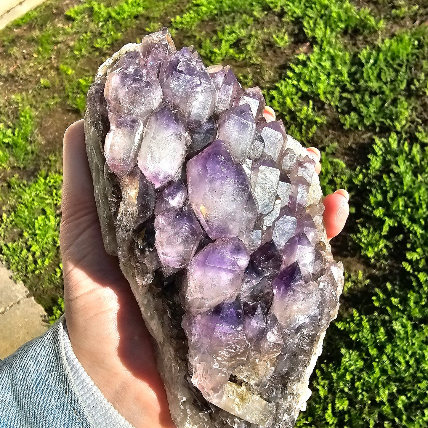 XL Montana Smoky Amethyst, Rare Elestial Quartz, USA Crystals, On Matrix, Cabinet Sized, Little Gem Mine Stunning Collector Specimen