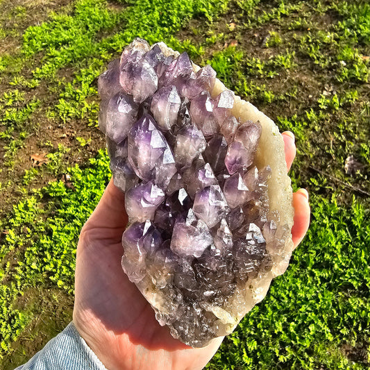 XL Montana Smoky Amethyst, Rare Elestial Quartz, USA Crystals, On Matrix, Cabinet Sized, Little Gem Mine Stunning Collector Specimen