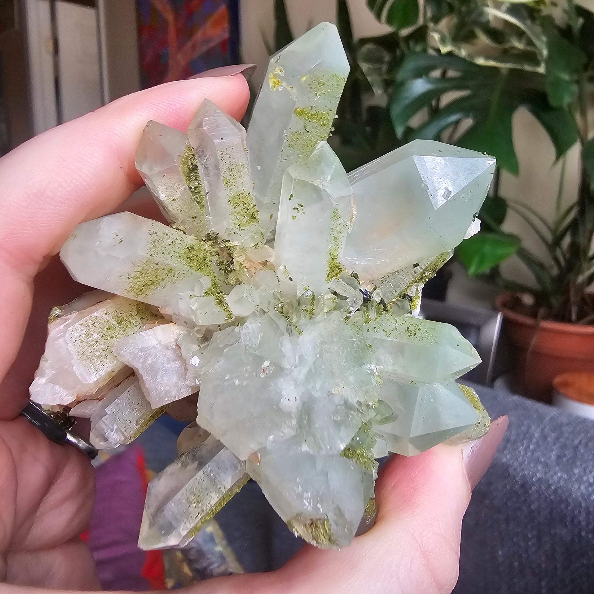 Very Rare Flowering Quartz with Fuschite and Chlorite Phantoms