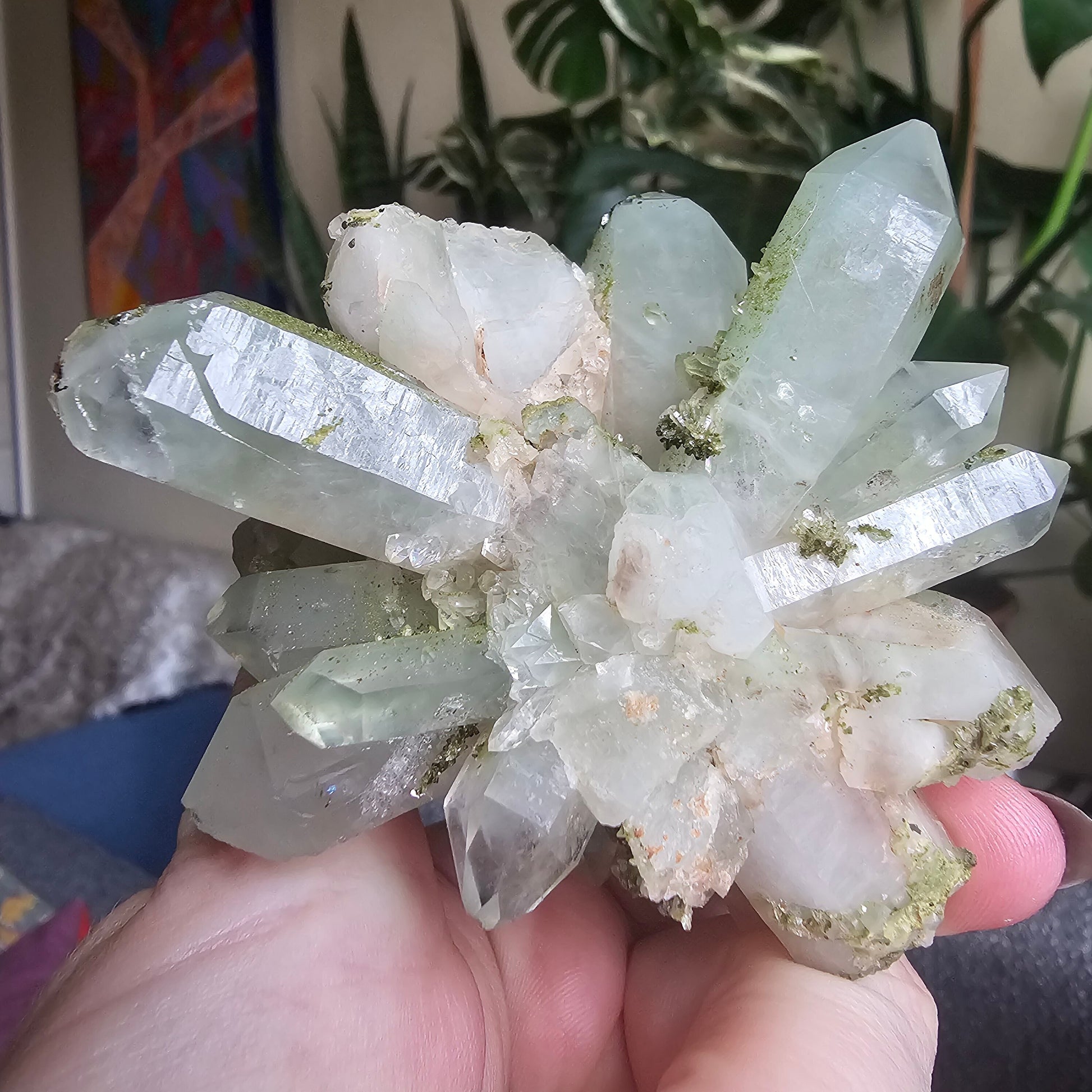 Very Rare Flowering Quartz with Fuschite and Chlorite Phantoms