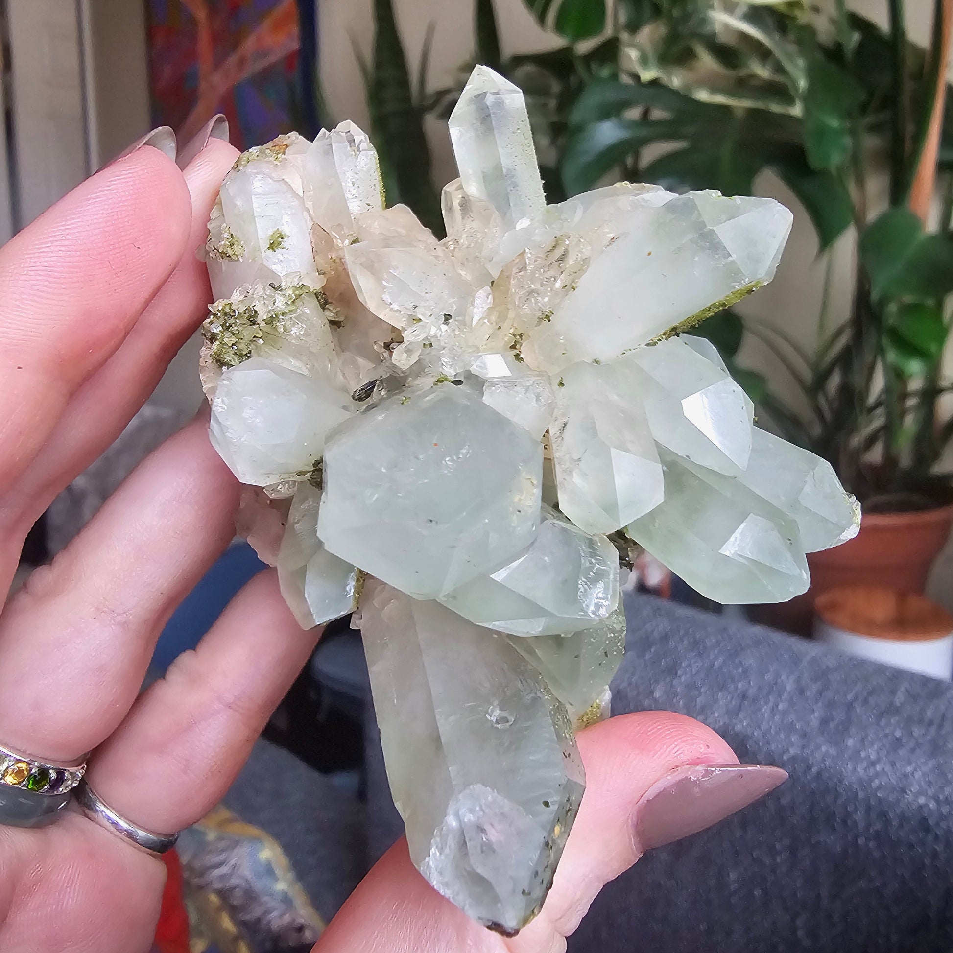 Very Rare Flowering Quartz with Fuschite and Chlorite Phantoms