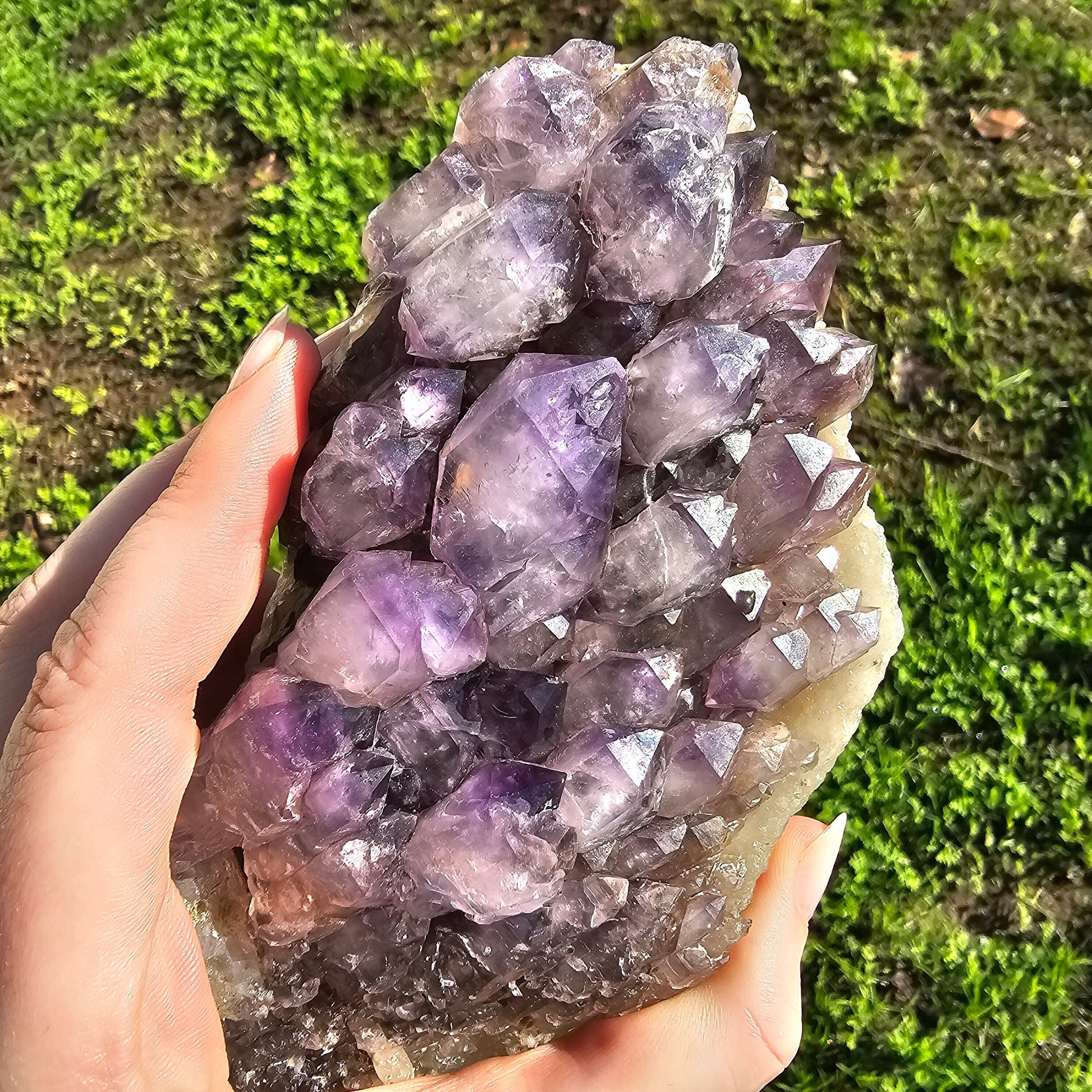 XL Montana Smoky Amethyst, Rare Elestial Quartz, USA Crystals, On Matrix, Cabinet Sized, Little Gem Mine Stunning Collector Specimen