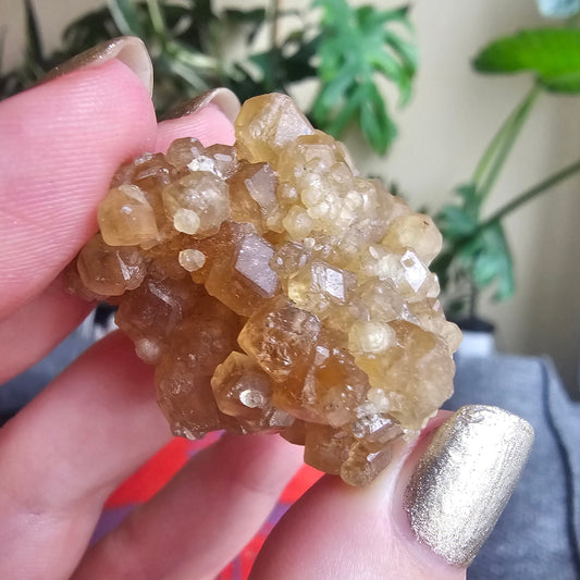 Rare Golden Yellow Spessartine Garnet, 35.4g Floater Crystal Cluster, Rare Raw Natural Gemstone Specimen for Collection, Tanzania Origin