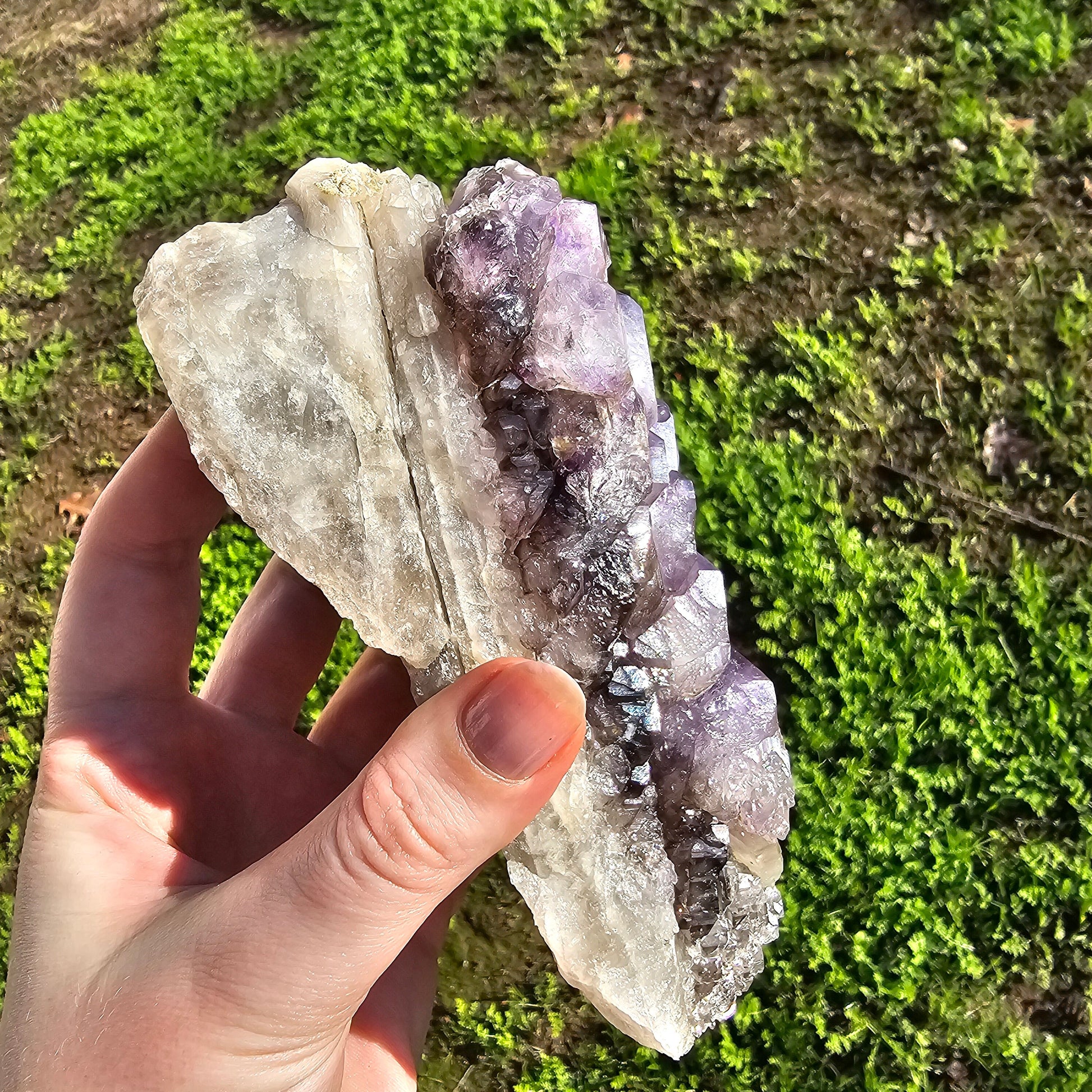 XL Montana Smoky Amethyst, Rare Elestial Quartz, USA Crystals, On Matrix, Cabinet Sized, Little Gem Mine Stunning Collector Specimen