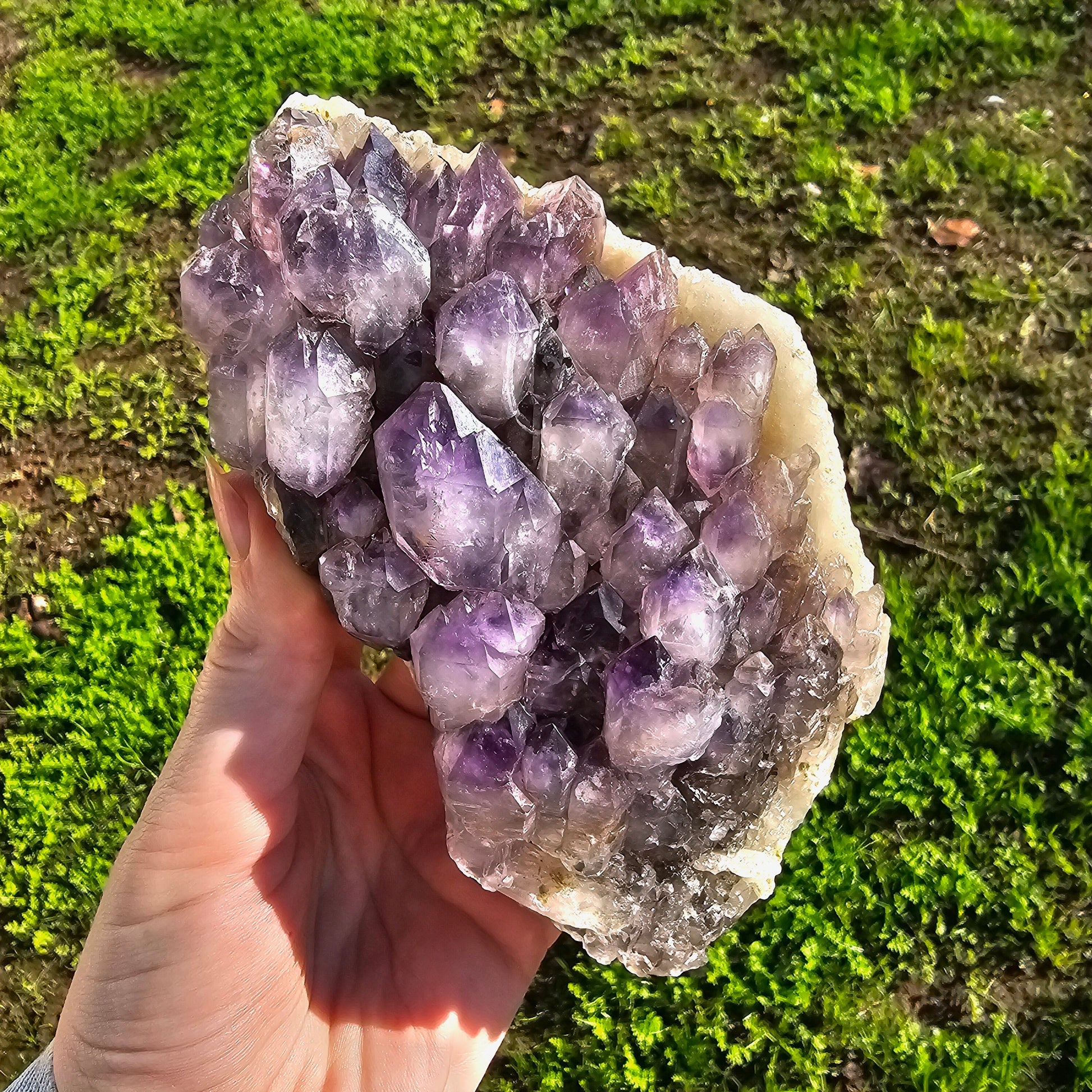 XL Montana Smoky Amethyst, Rare Elestial Quartz, USA Crystals, On Matrix, Cabinet Sized, Little Gem Mine Stunning Collector Specimen