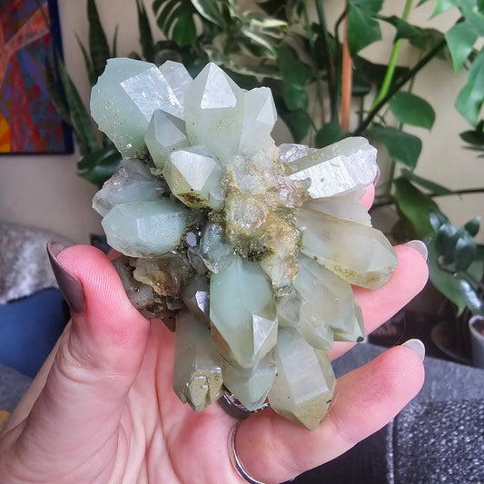 Rare Flowering / Radial Quartz with Fuschite, Chlorite, Phantoms, Inclusions, Epidote Glitter Coating, Top New Find, Hakkari Turkey