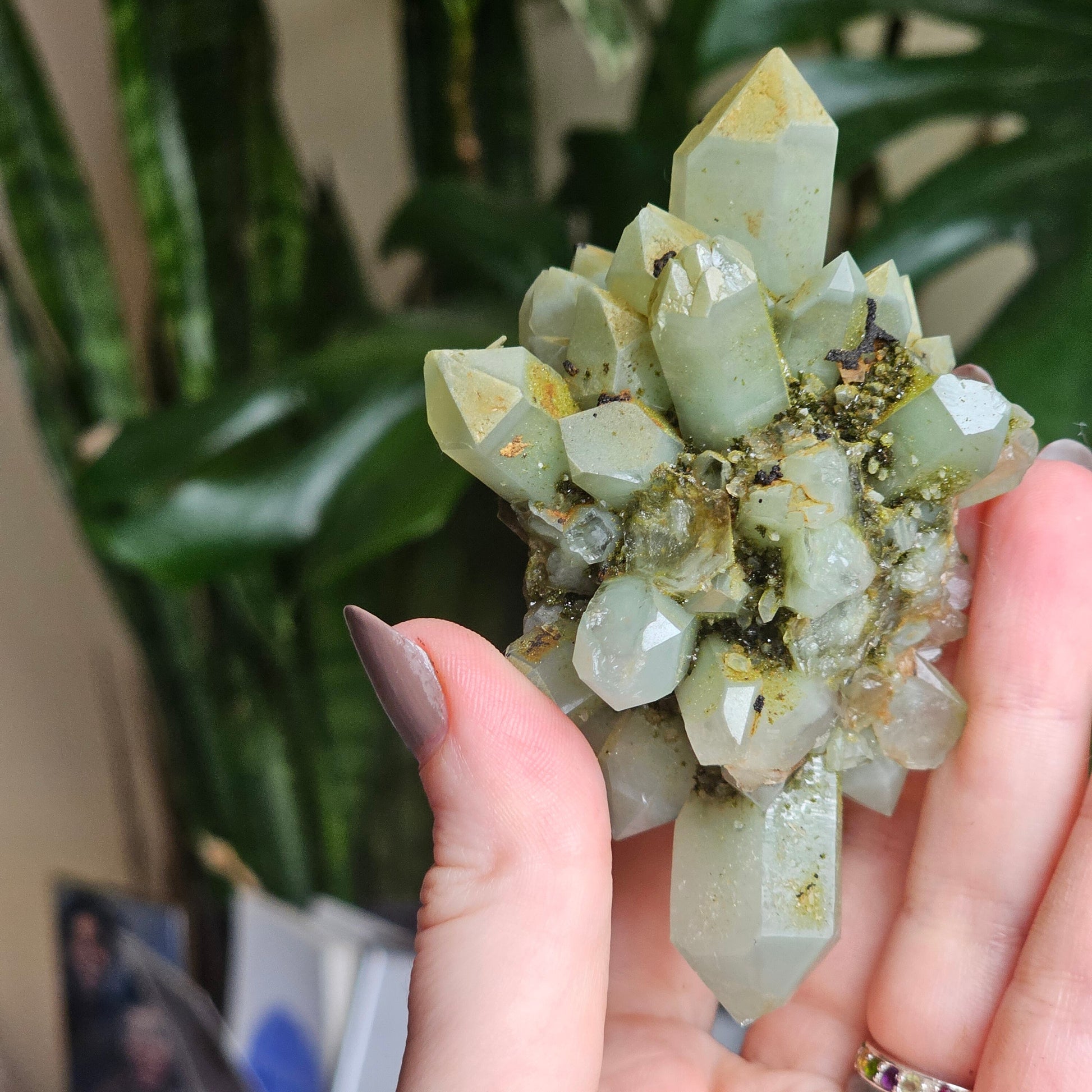 Rare Flowering / Radial Quartz with Fuschite, Chlorite, Phantoms, Inclusions, Epidote Glitter Coating, Top New Find, Hakkari Turkey
