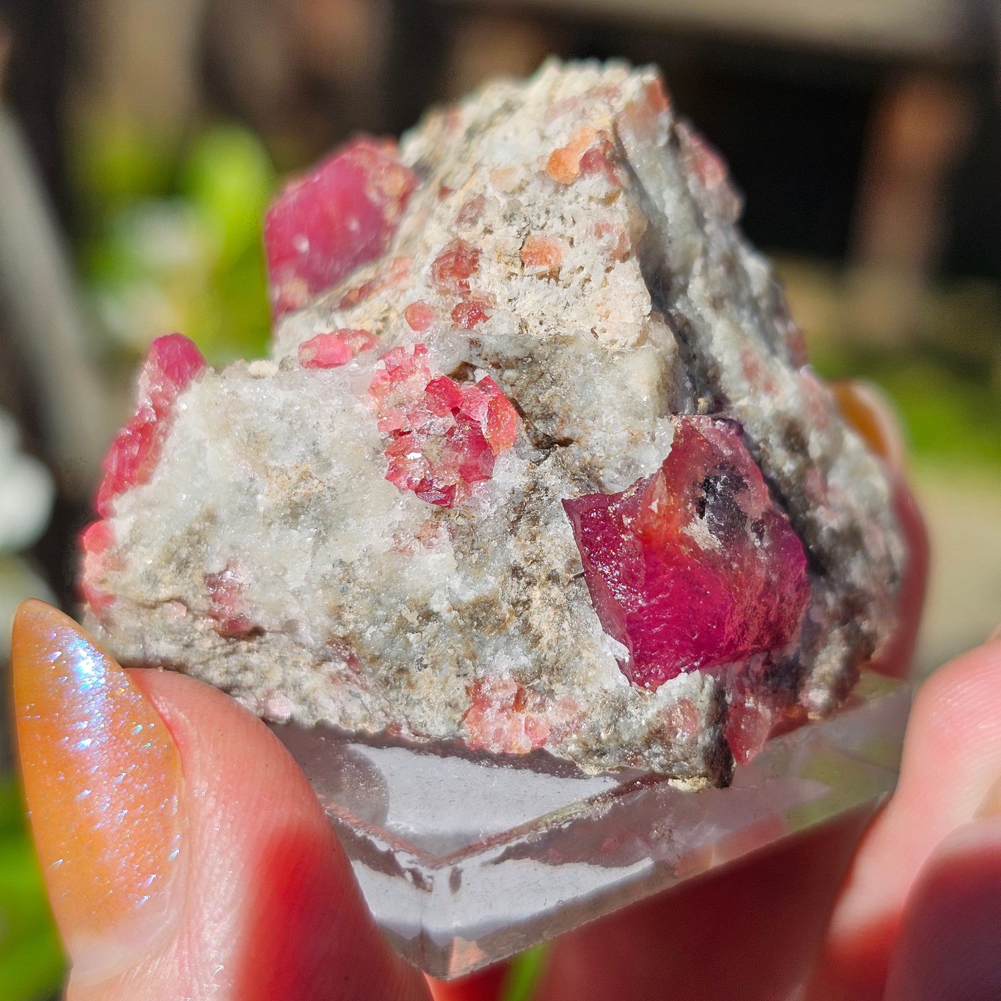 Raspberry Garnet on Matrix, Rare Raw Old Stock Mineral Specimen, Sierra de las Cruces Mexico, Local High End Rosalite, Deep Lustrous & Gemmy