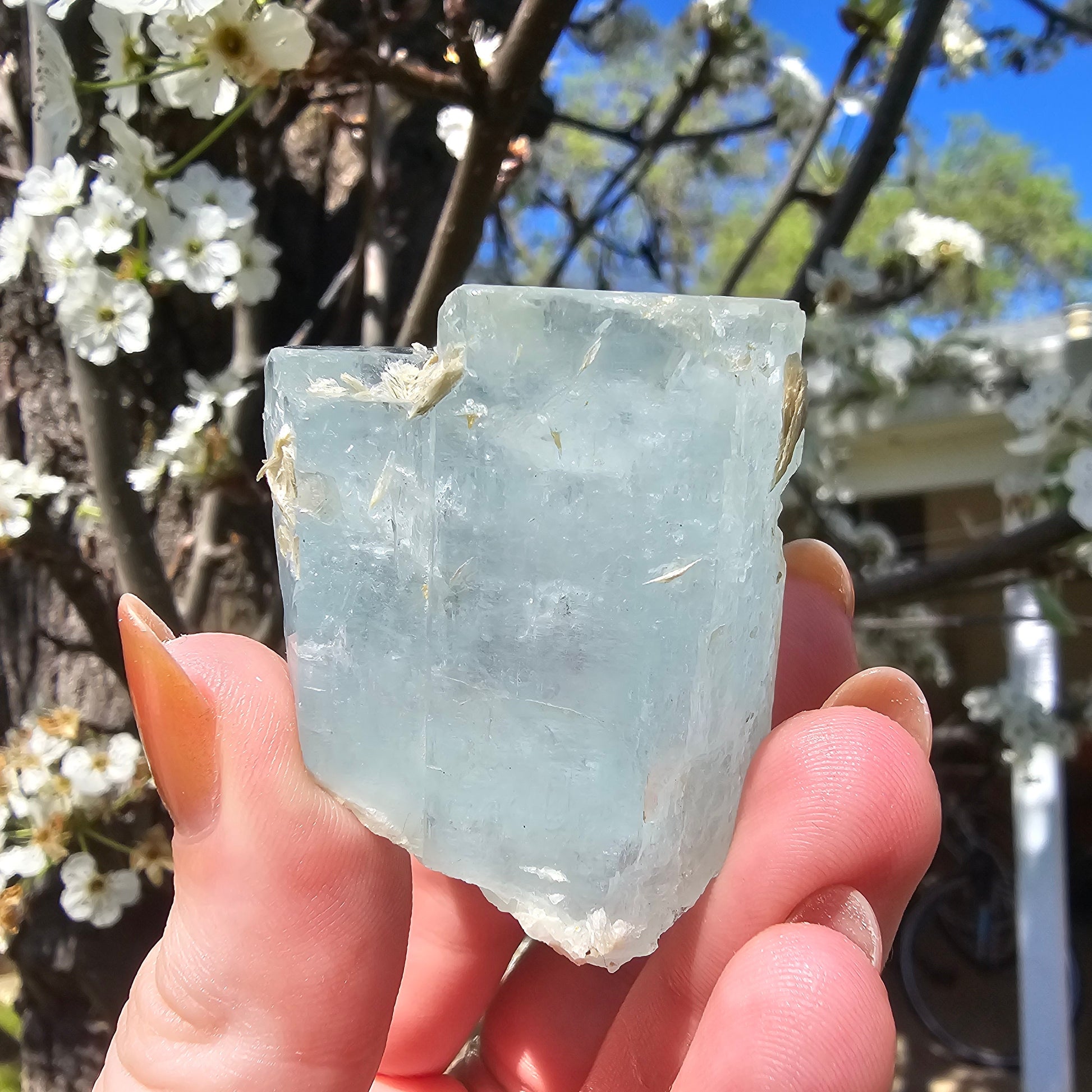 Aquamarine w Silver Muscovite