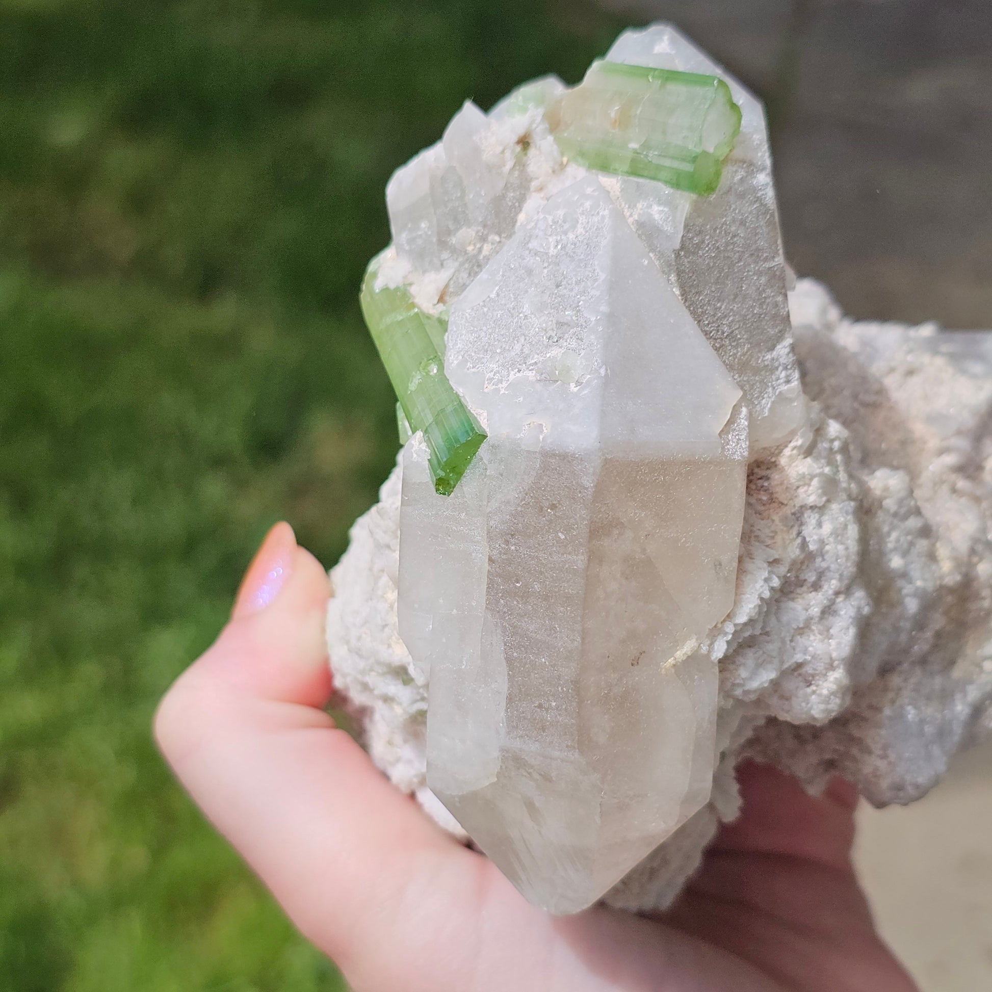 RESERVED ~ XL Cabinet Crystal ~ Green Tourmaline / Verdellite Elbaite on Quartz