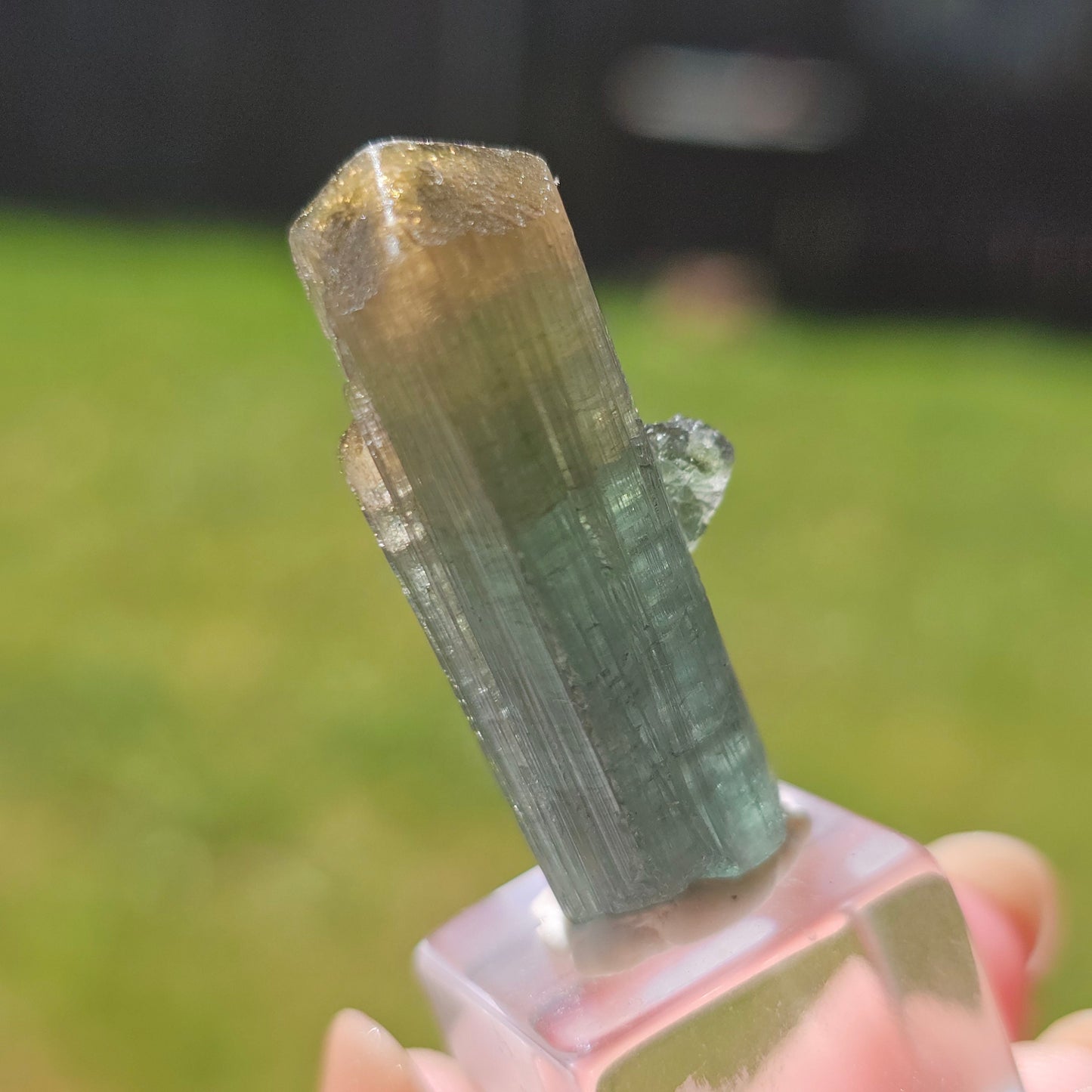 RESERVED for Jessy 9g Tourmaline Crystal from Brazil, Blue Indicolite with Yellow Cap, Terminated Rare Bicolor, Raw Elbaite Tourmaline