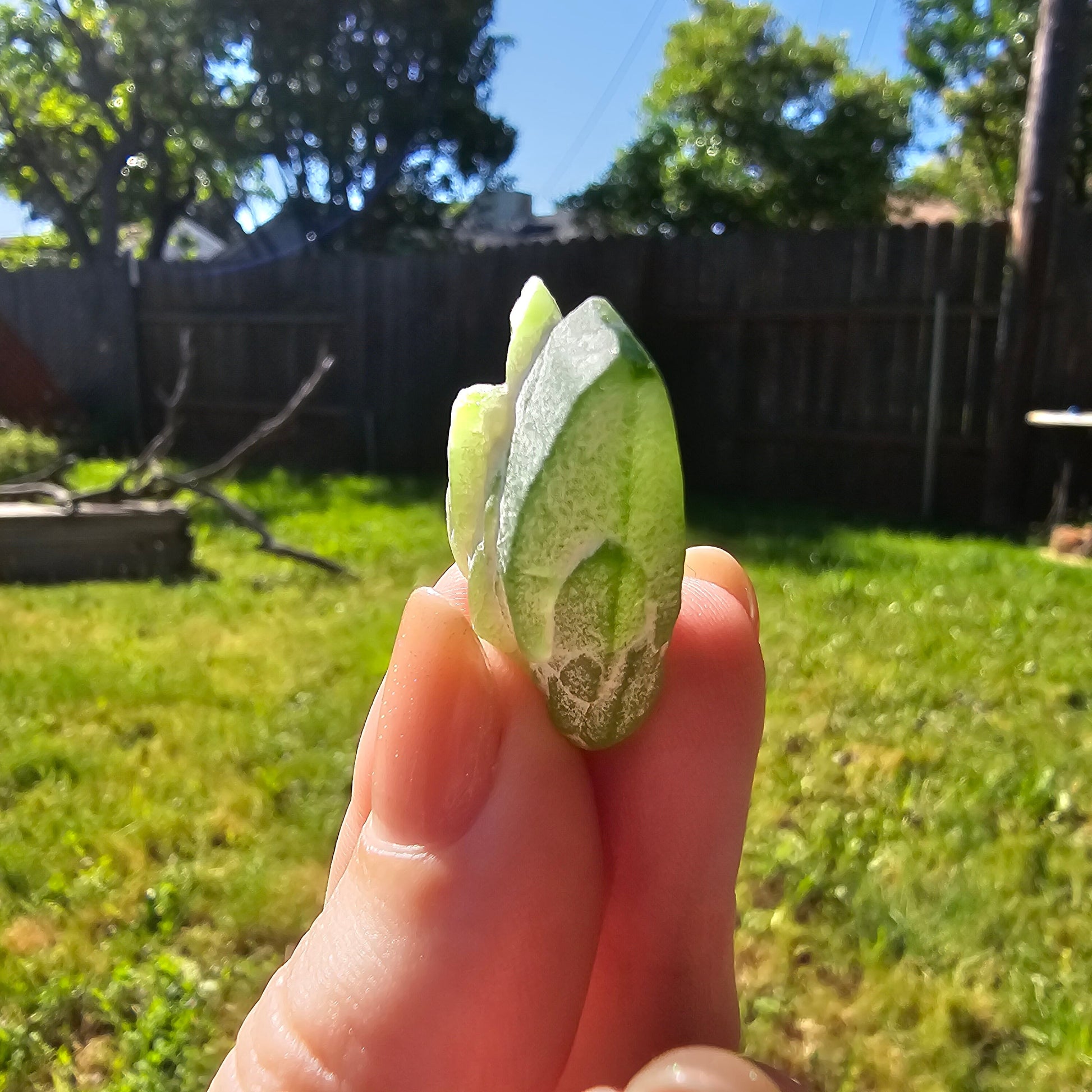Peridot Crystal Cluster, Rare Raw Green Gemstone, August Birthstone, Gemmy Castle Shaped, Tabby, Tabular, Collector Mineral w White Coating