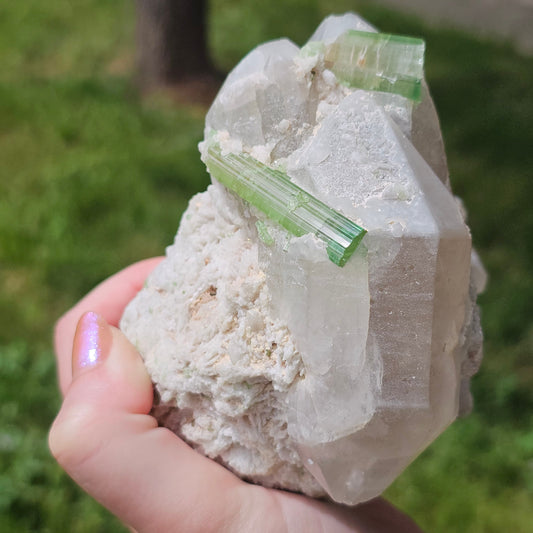 RESERVED ~ XL Cabinet Crystal ~ Green Tourmaline / Verdellite Elbaite on Quartz